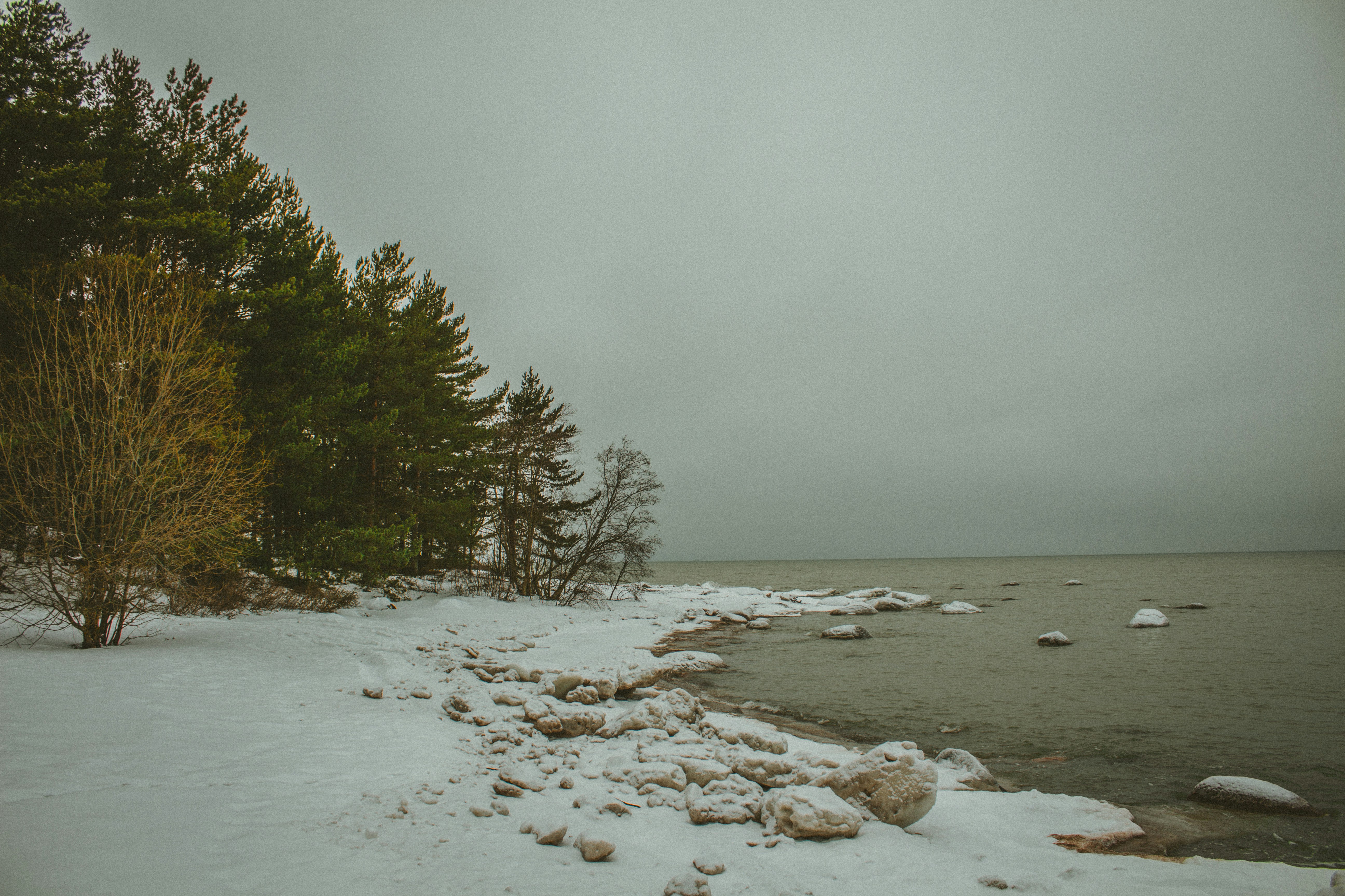 Photo by maximyuryshev