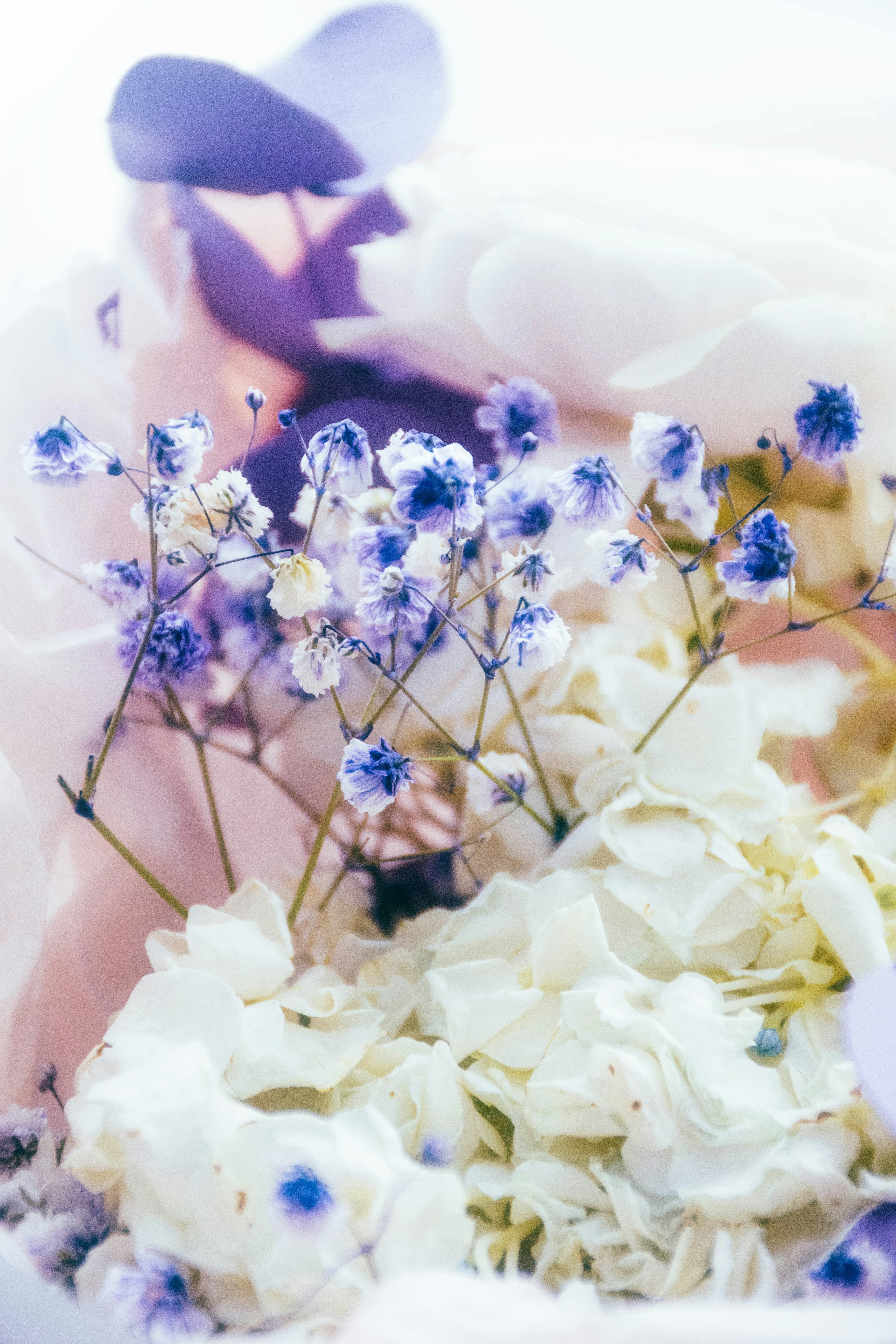 Photo by olga_trishi