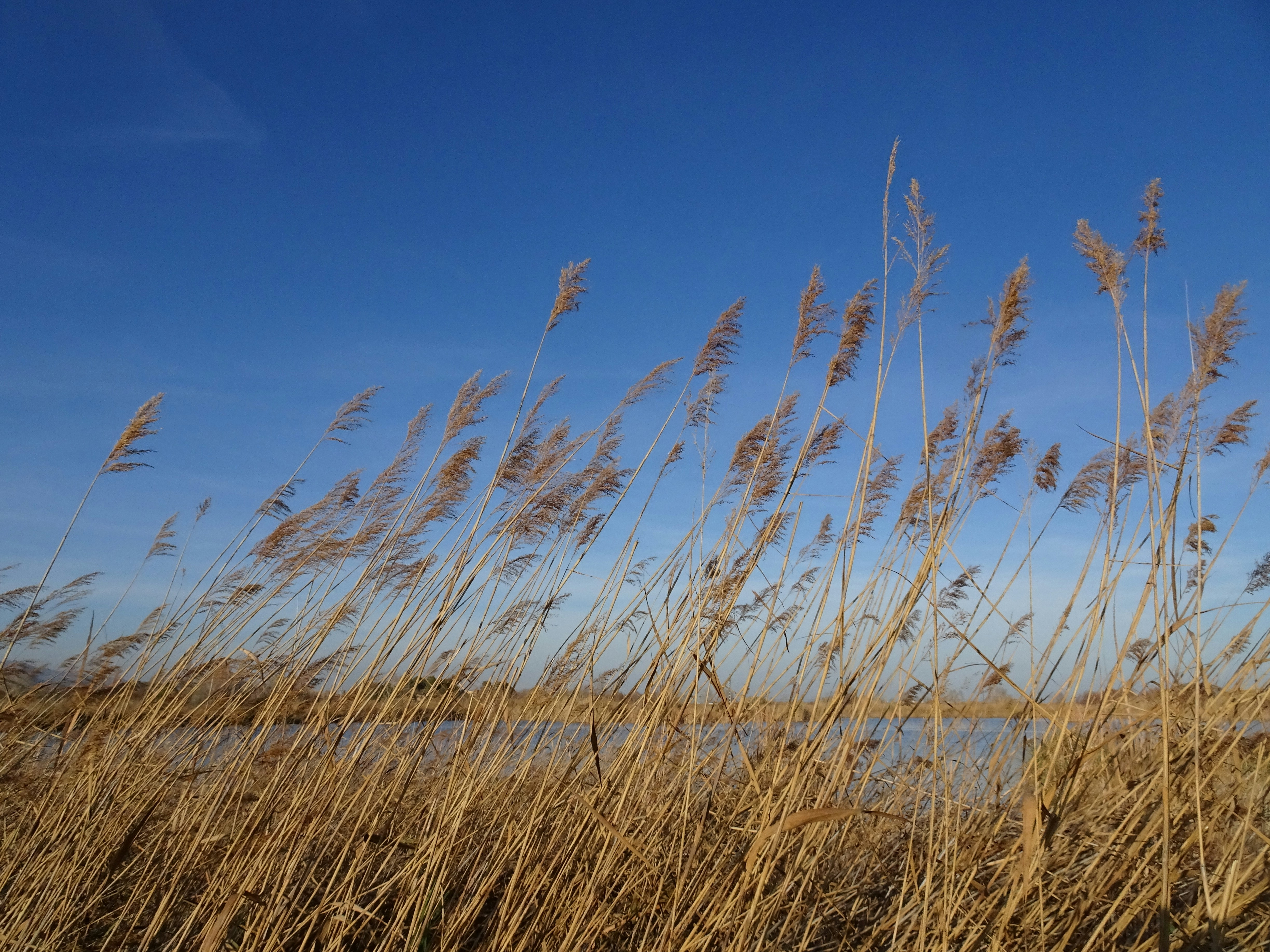 Photo by ludovico_06