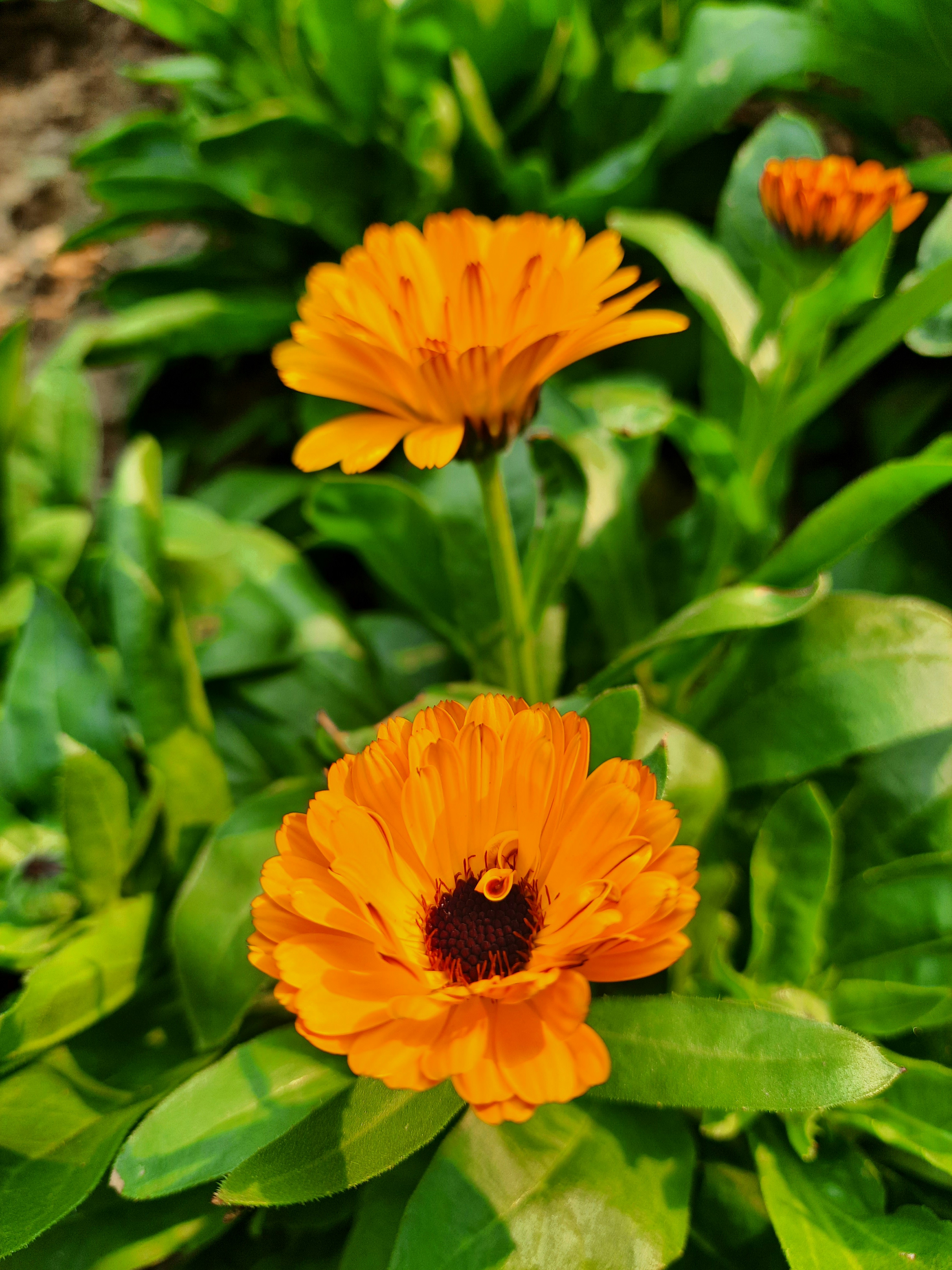 Photo by shutters_flutter