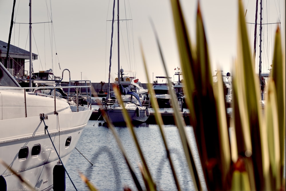 a bunch of boats that are in the water