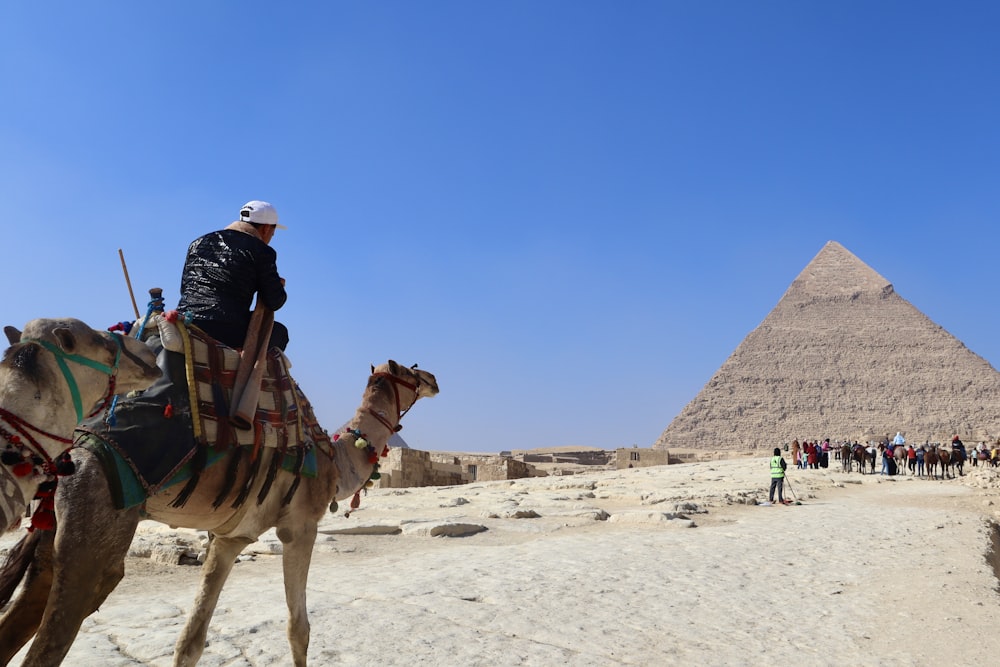 a man riding a camel in front of a pyramid