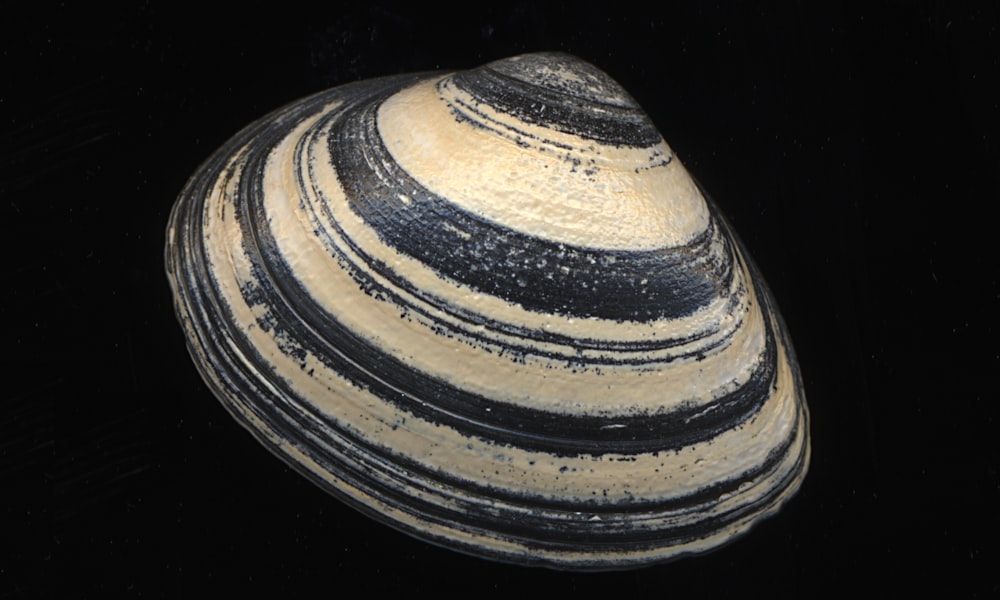 a black and white striped vase on a black background