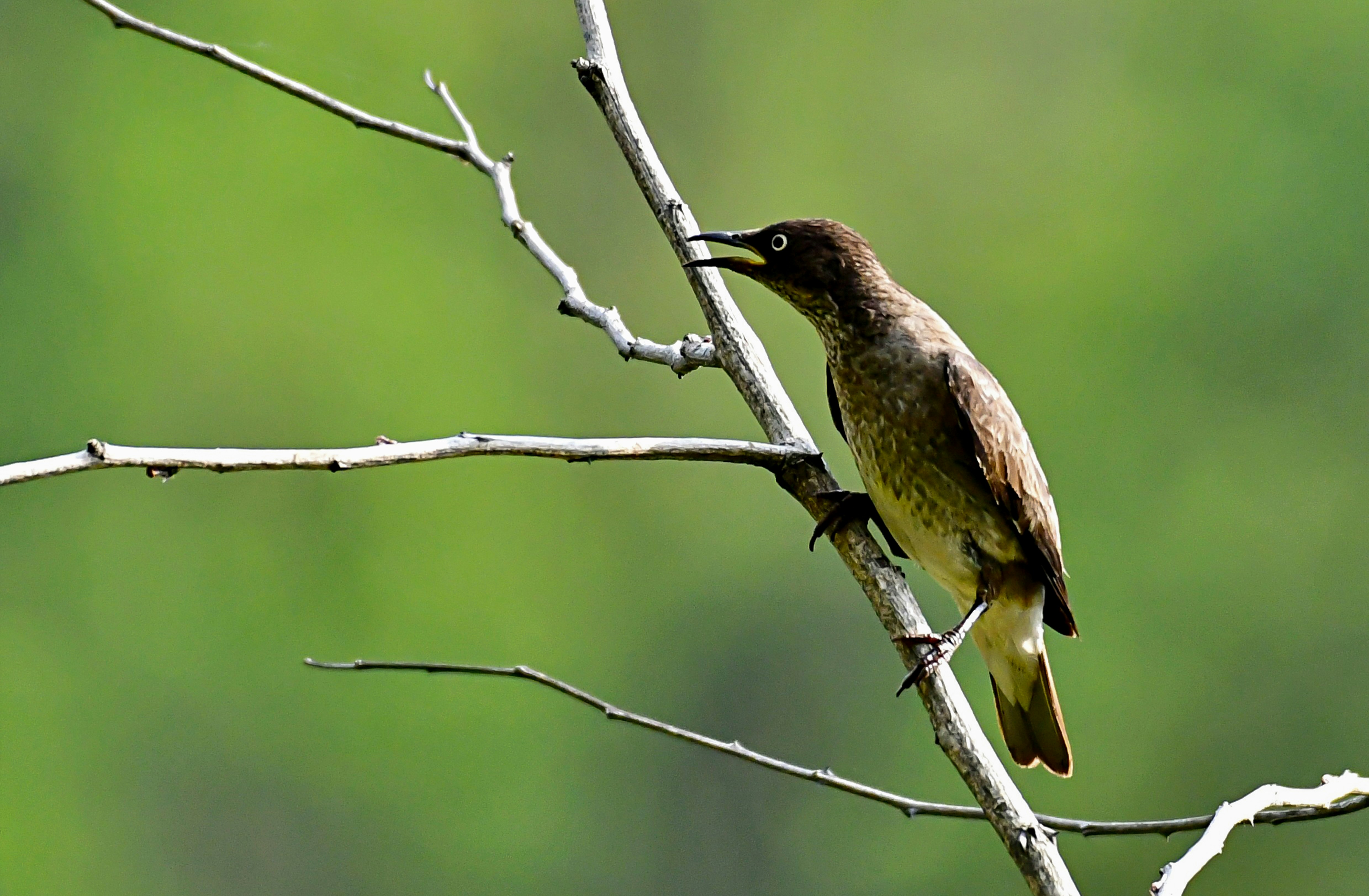 Photo by mhphotography13