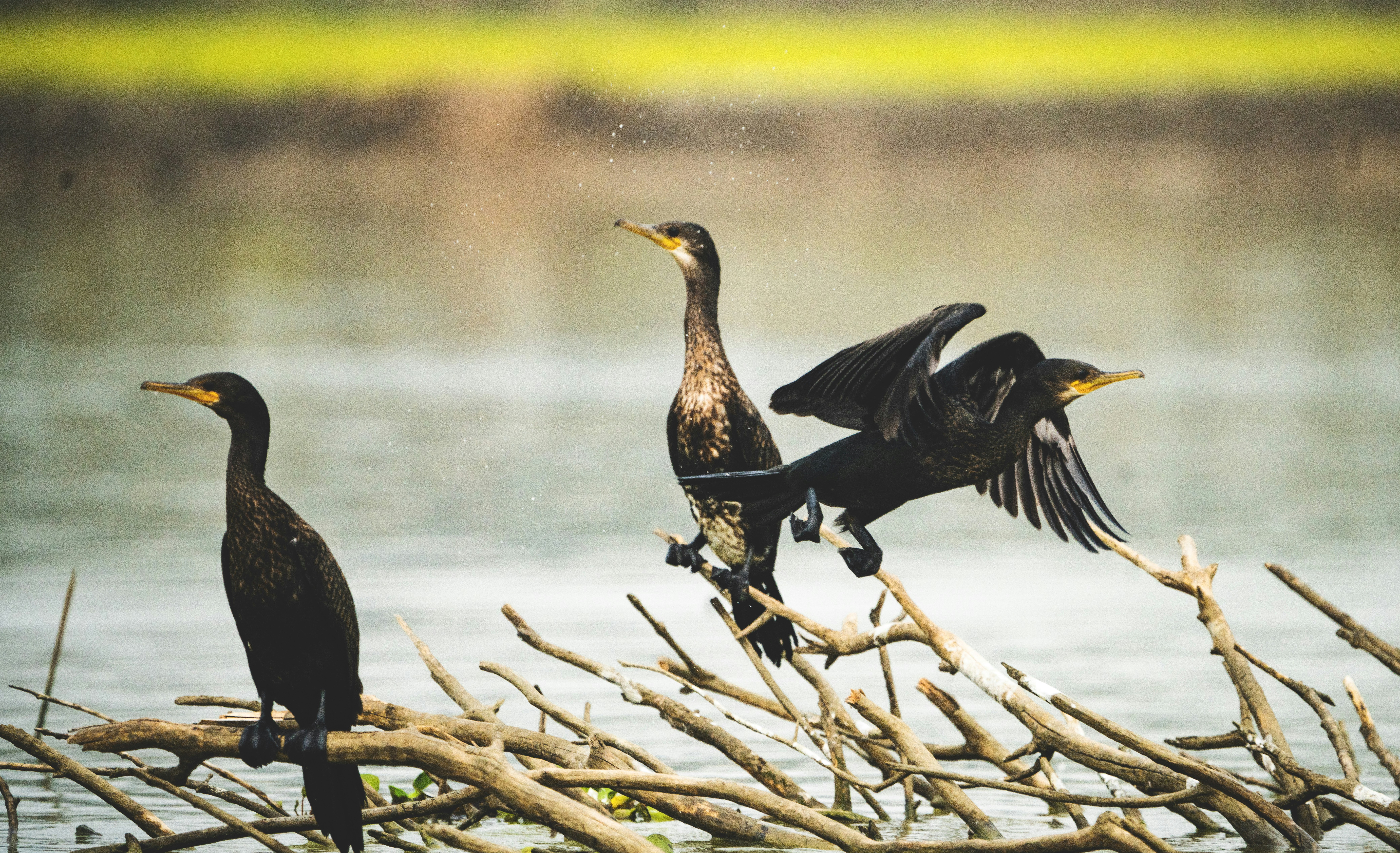 Photo by mhphotography13