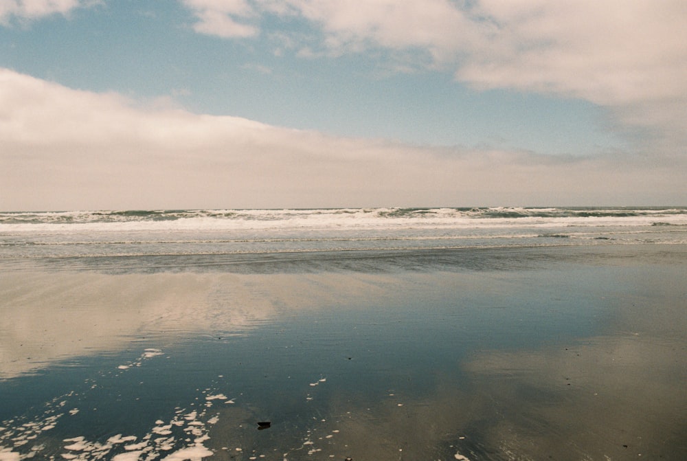 a person walking on a beach near the ocean