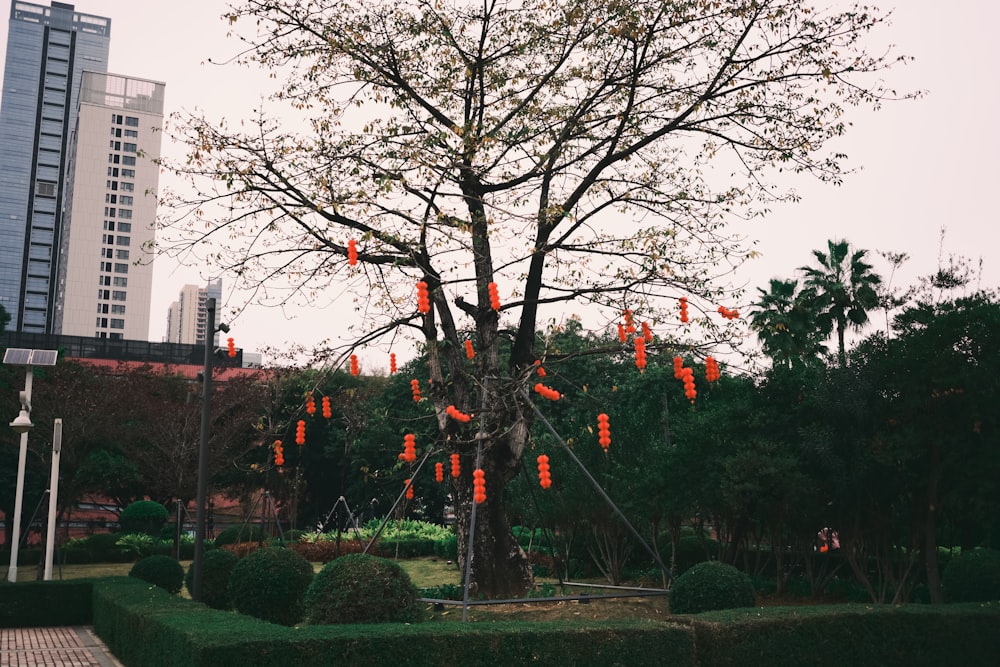 a tree with orange lights on it in the middle of a park