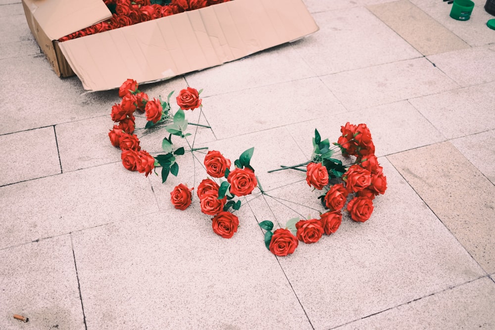 a bunch of red roses laying on the ground