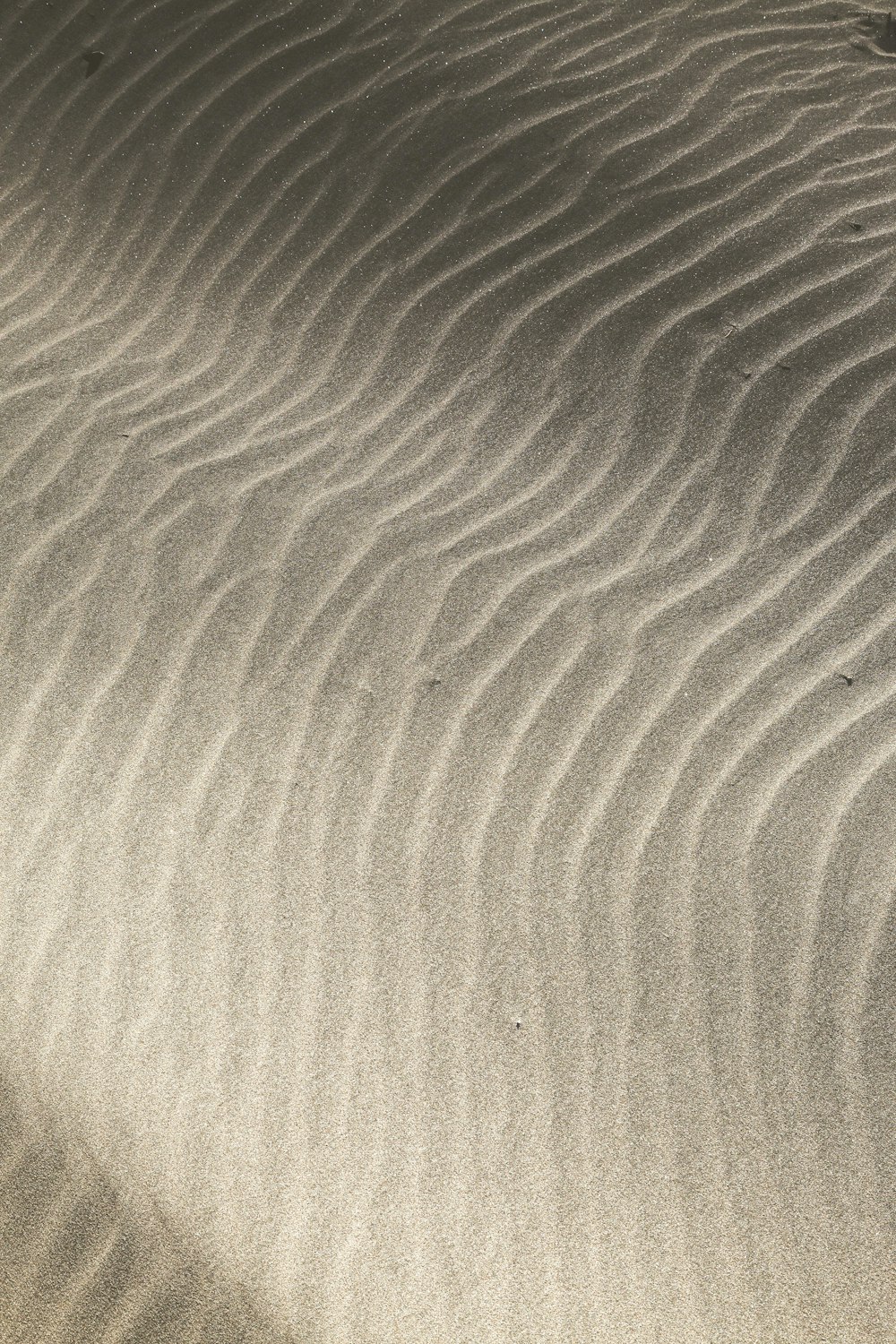 a sand dune with a small bird standing on top of it