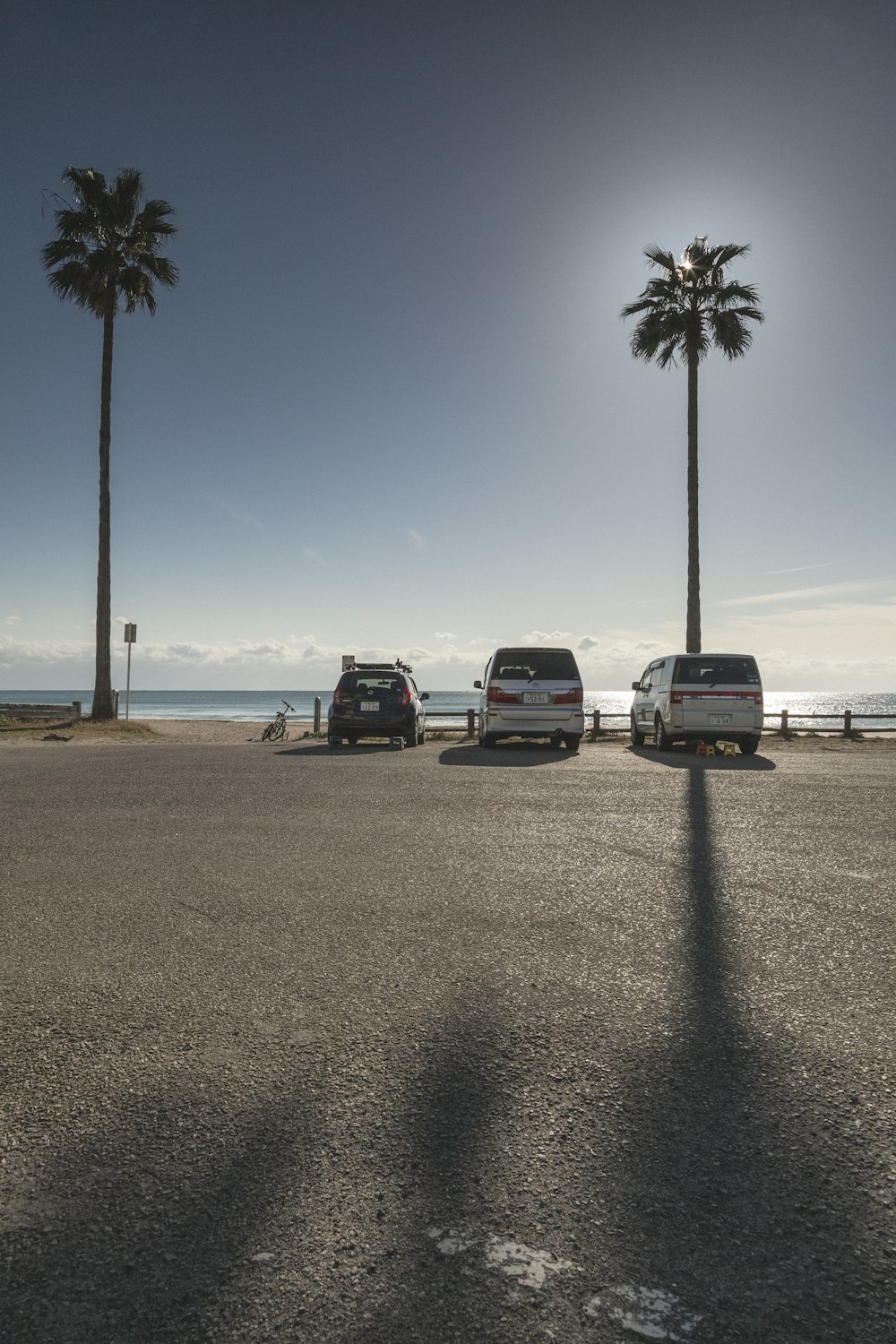 three vans parked in a parking lot next to palm trees