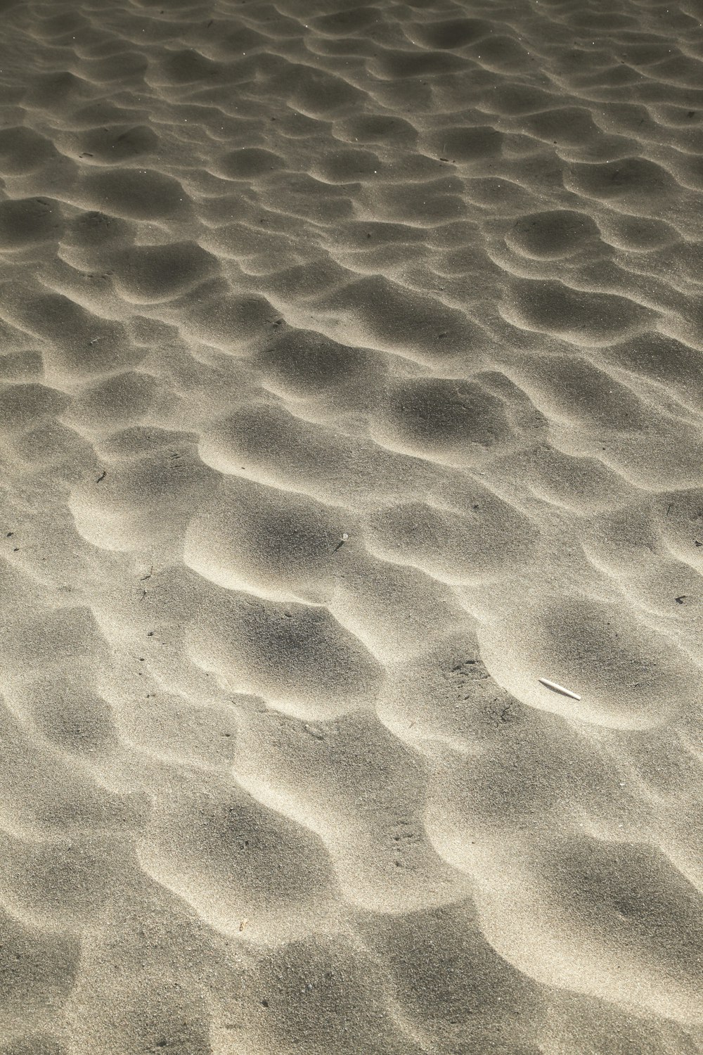 uma foto em preto e branco de uma praia de areia