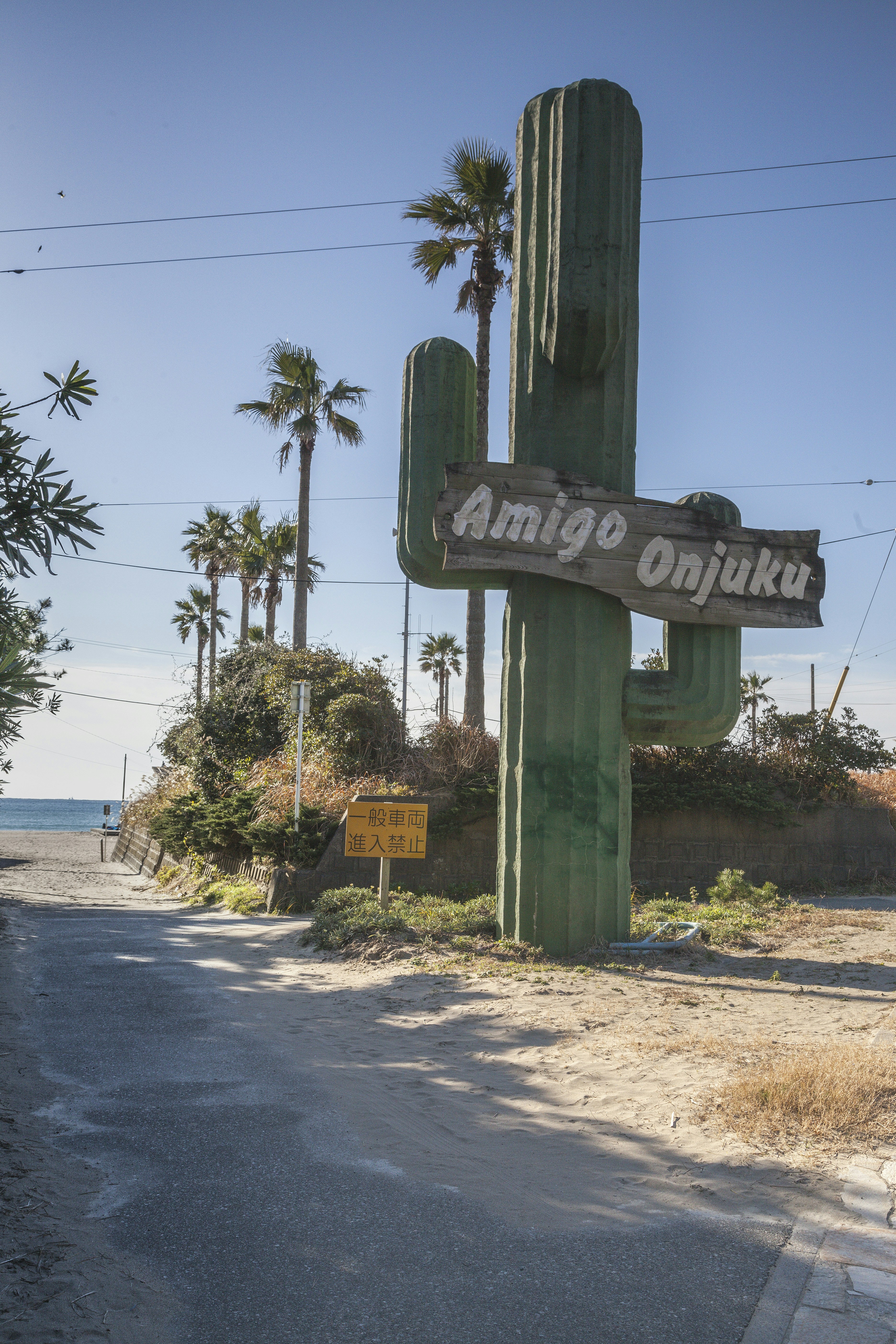 a large green cactus sitting on the side of a road