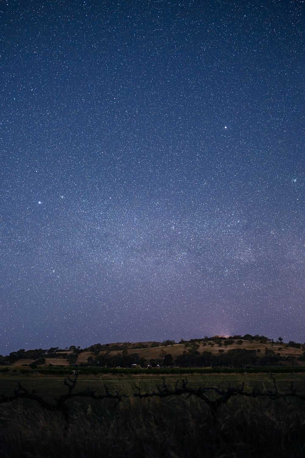 the night sky with stars above a grassy field