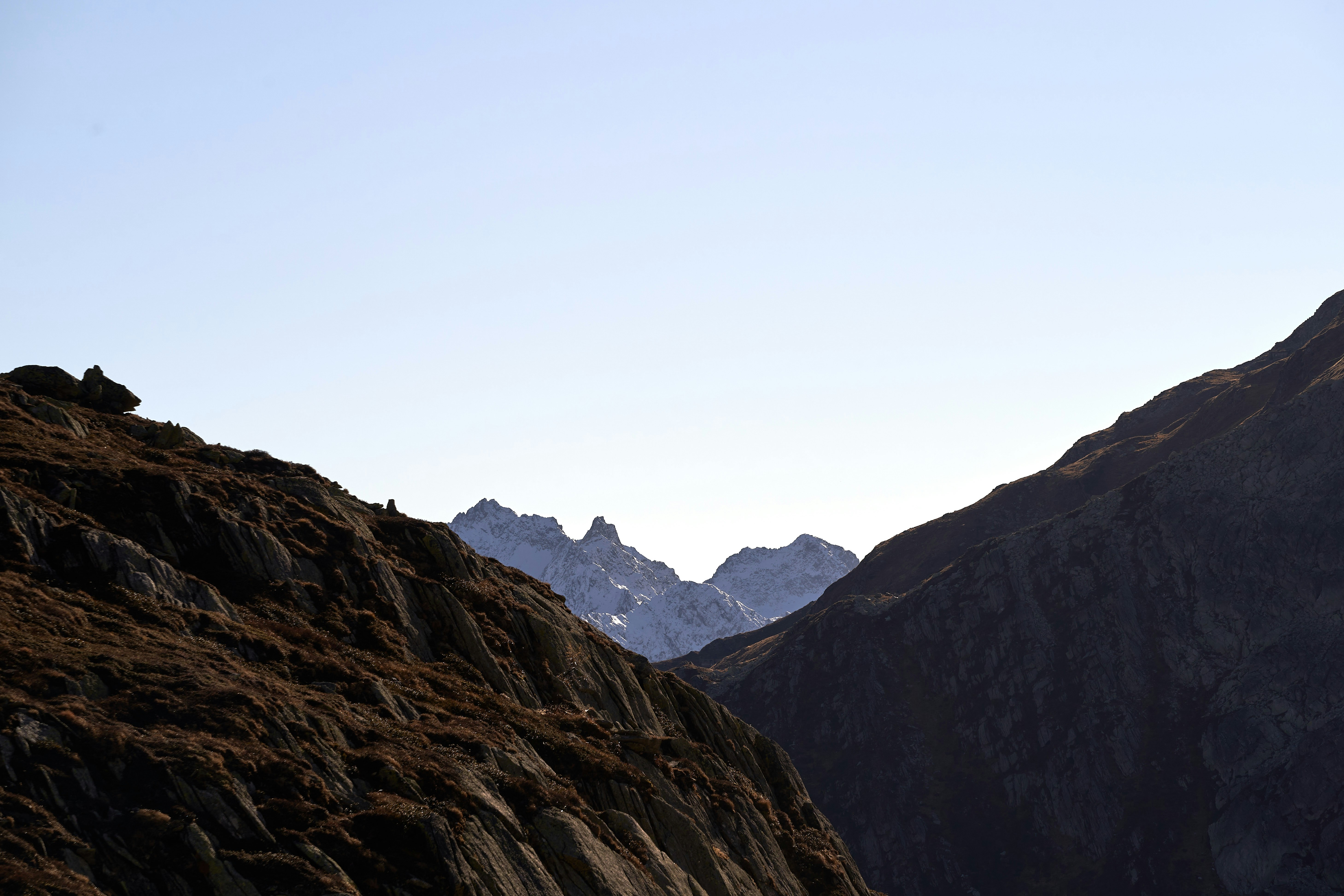 Photo by wolfgang_hasselmann