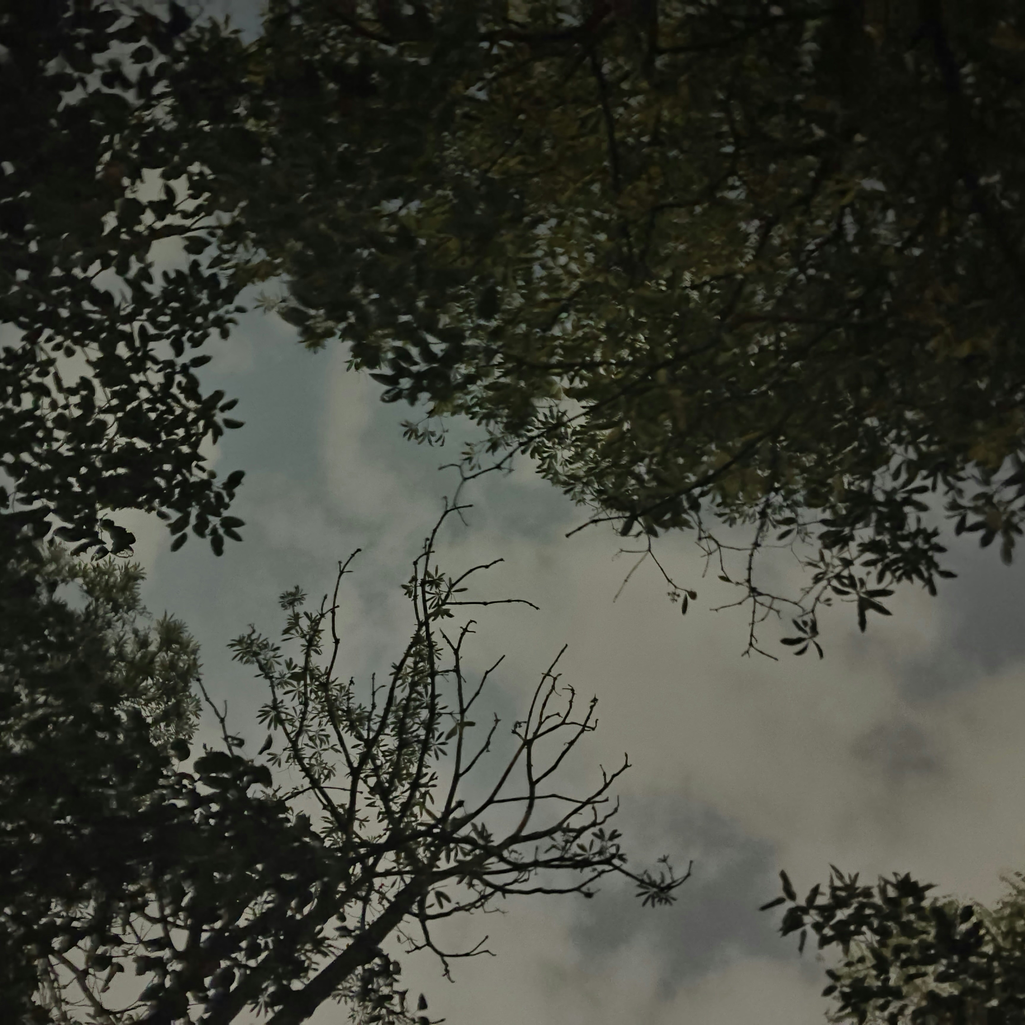 Photo by kuldeepdev407