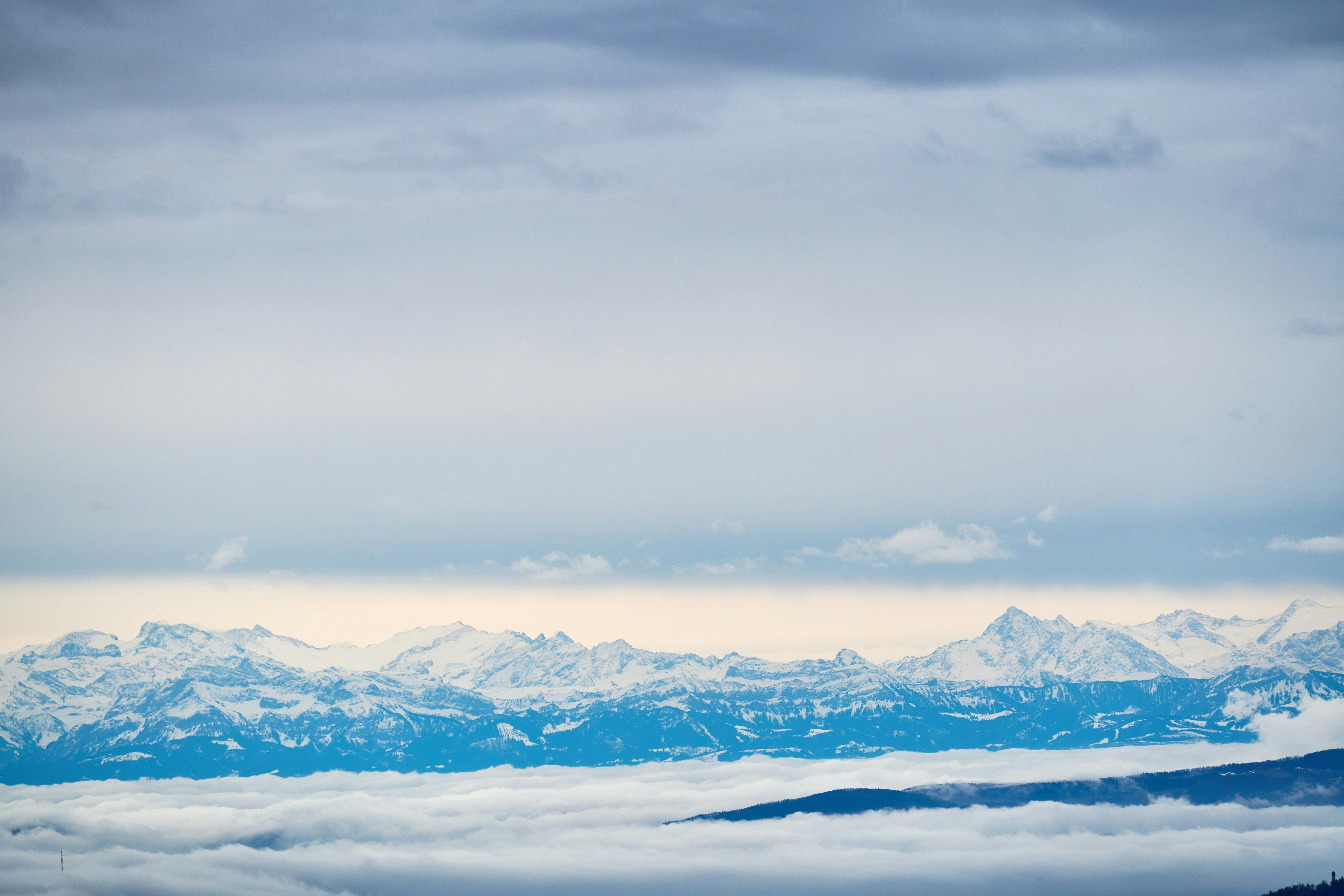 Photo by wolfgang_hasselmann