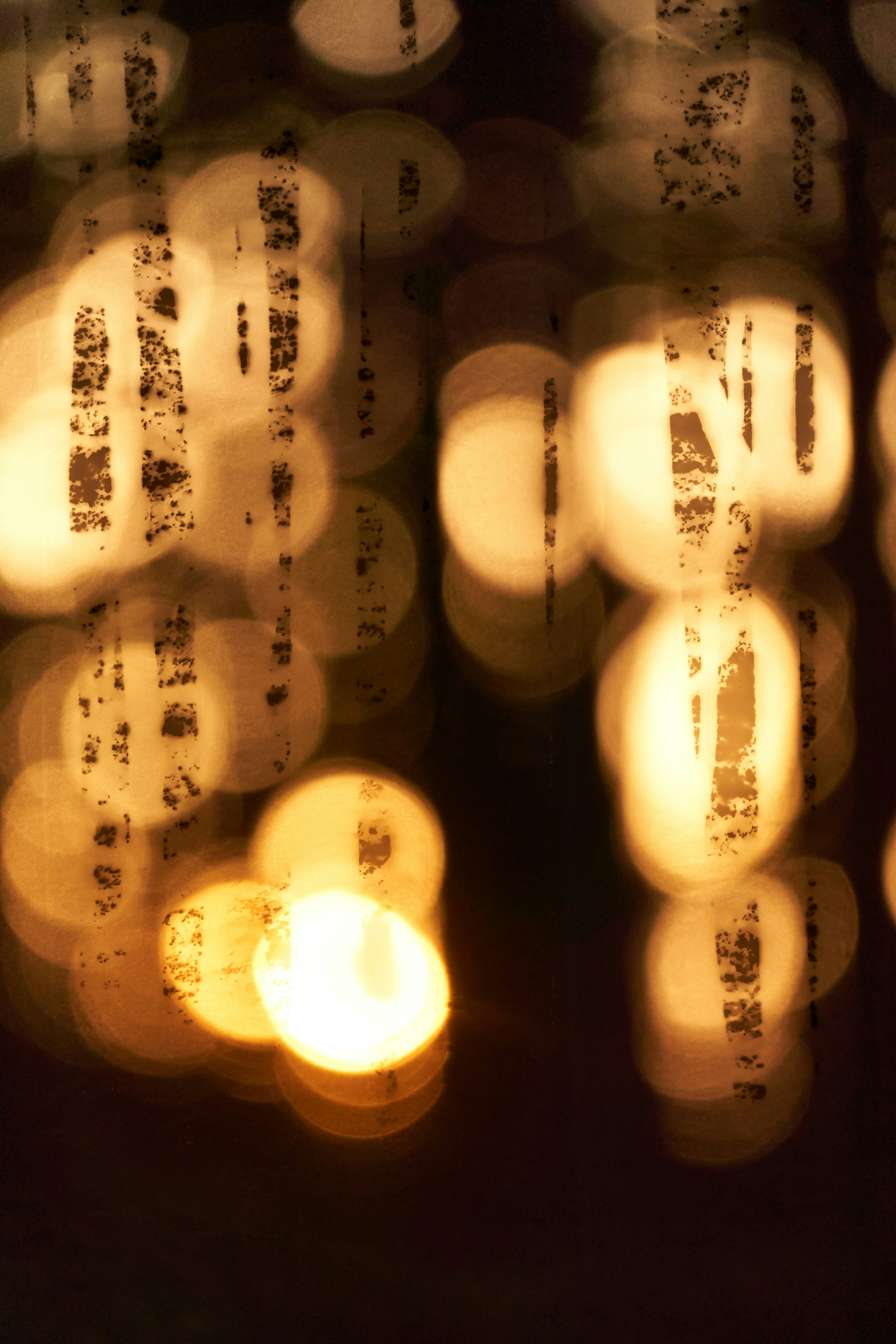 Photo by wolfgang_hasselmann