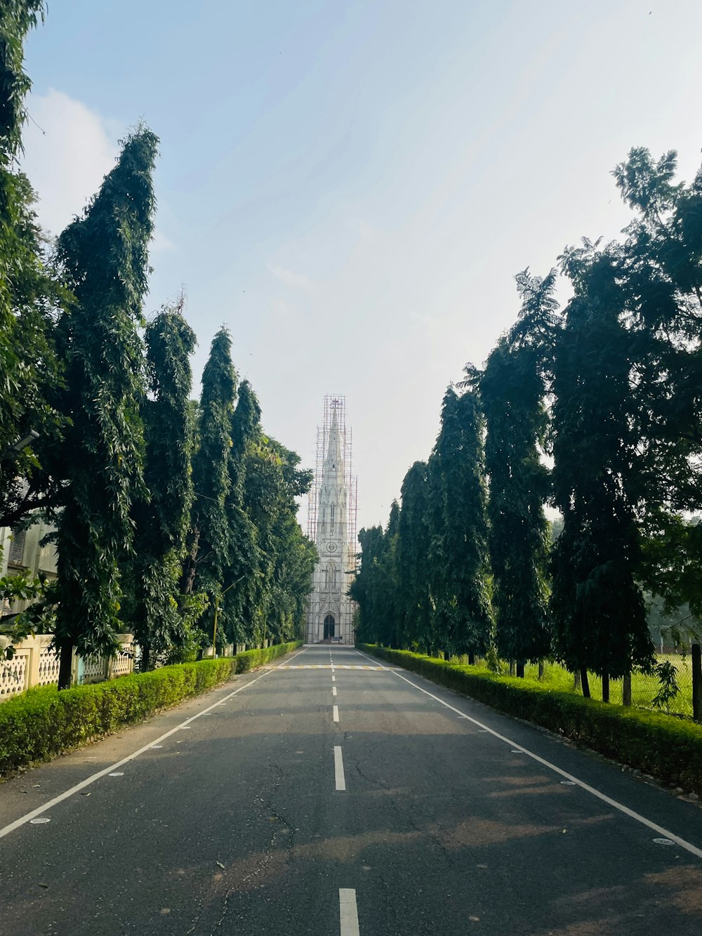 a long road with trees on both sides of it