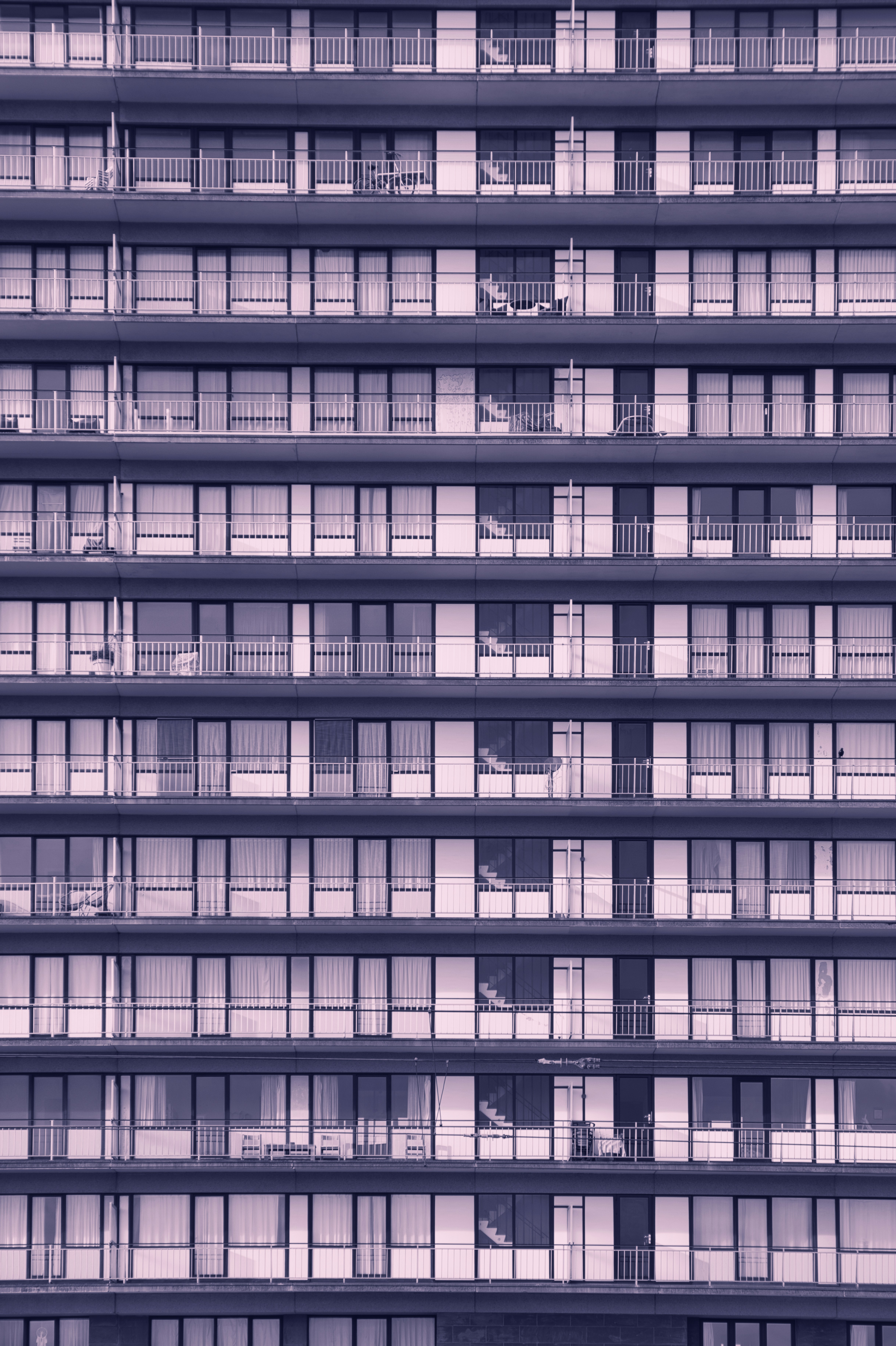 Photo by everaertrudi