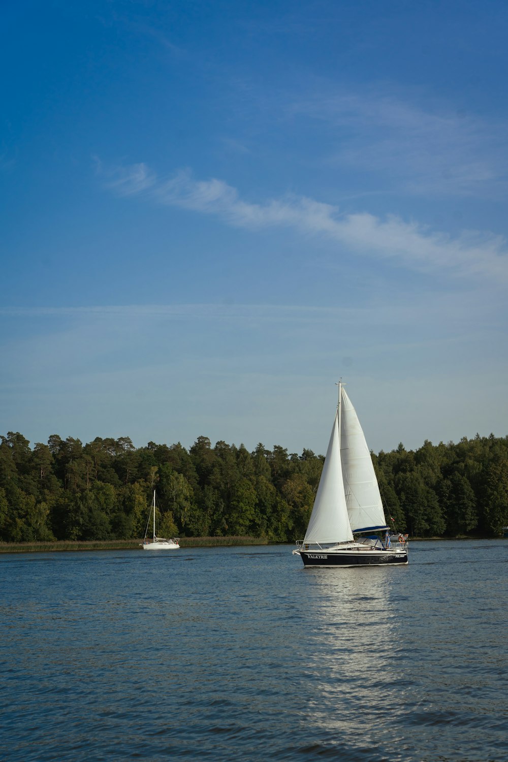 a sailboat on a lake with trees in the background