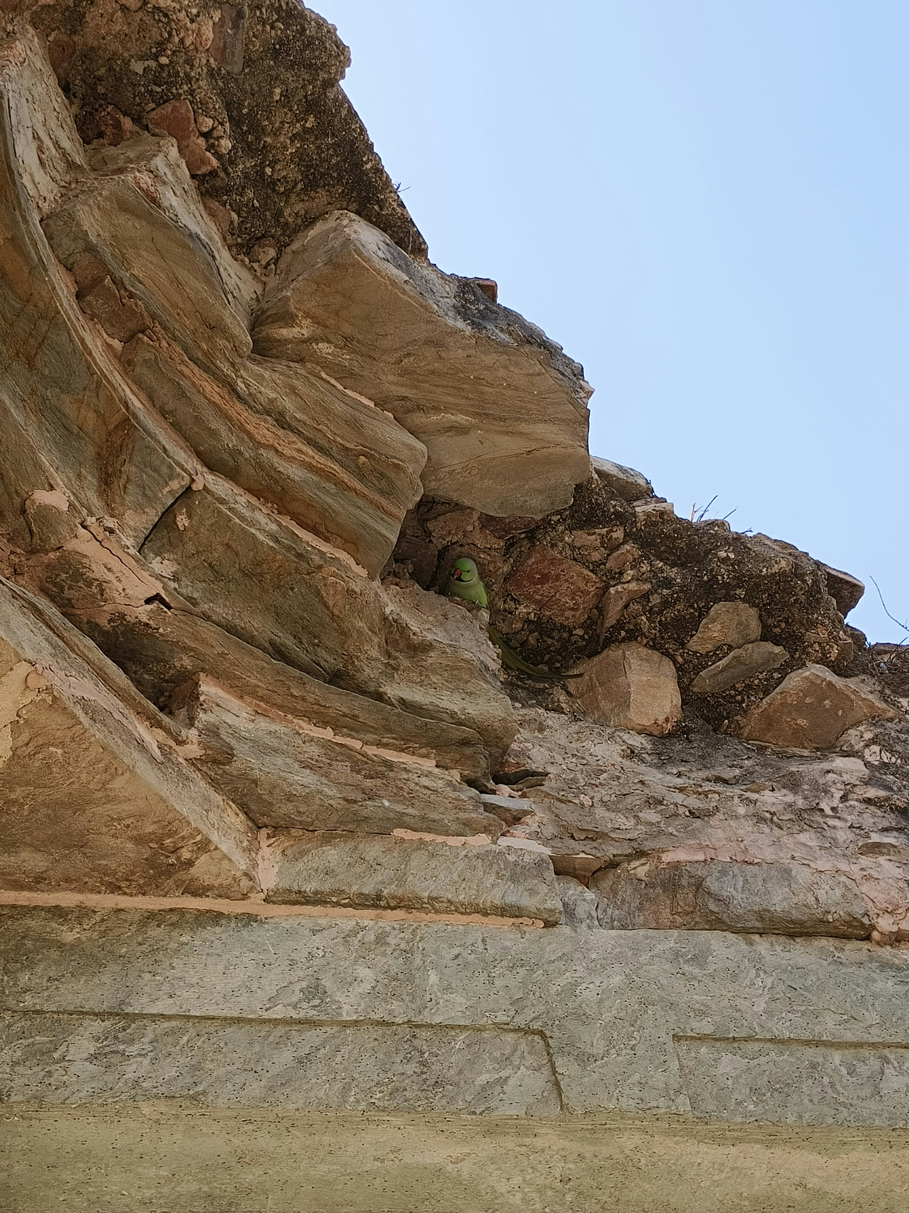 Photo by kuldeepdev407