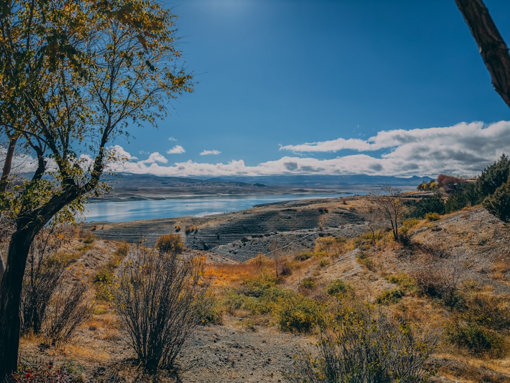 a view of a lake from a hill