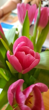 a vase filled with pink flowers on top of a table
