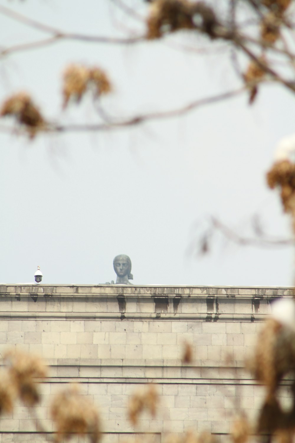 a bird sitting on top of a building next to a tree