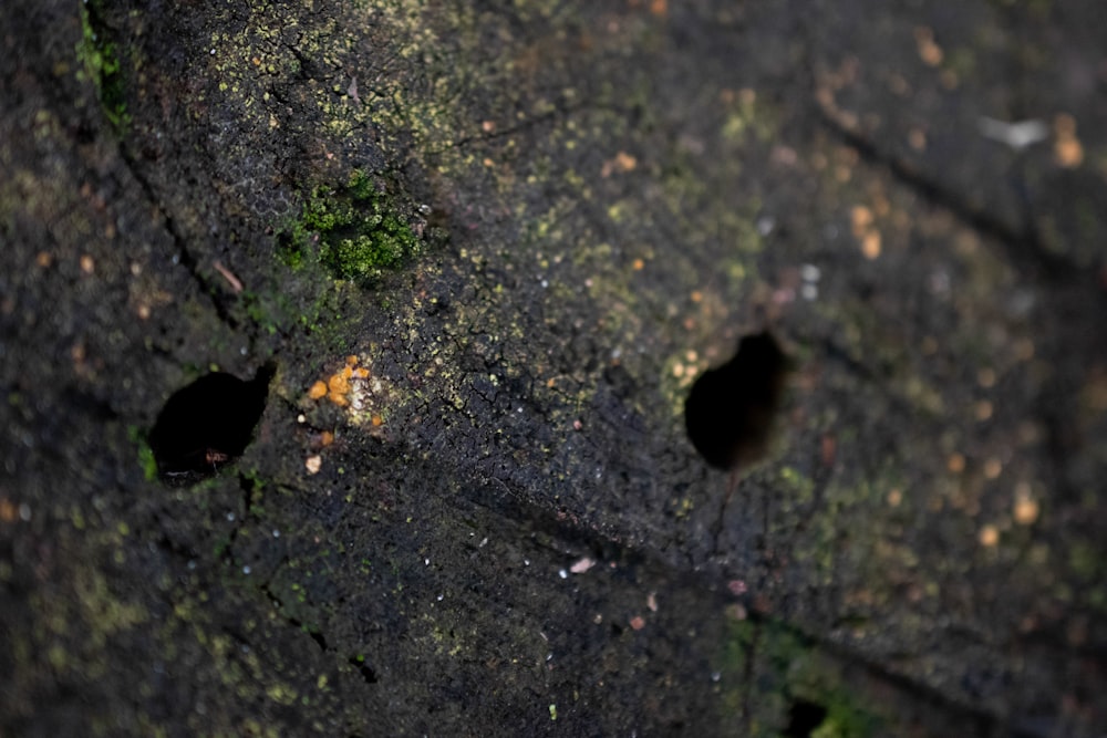 a close up of a piece of cement with holes in it