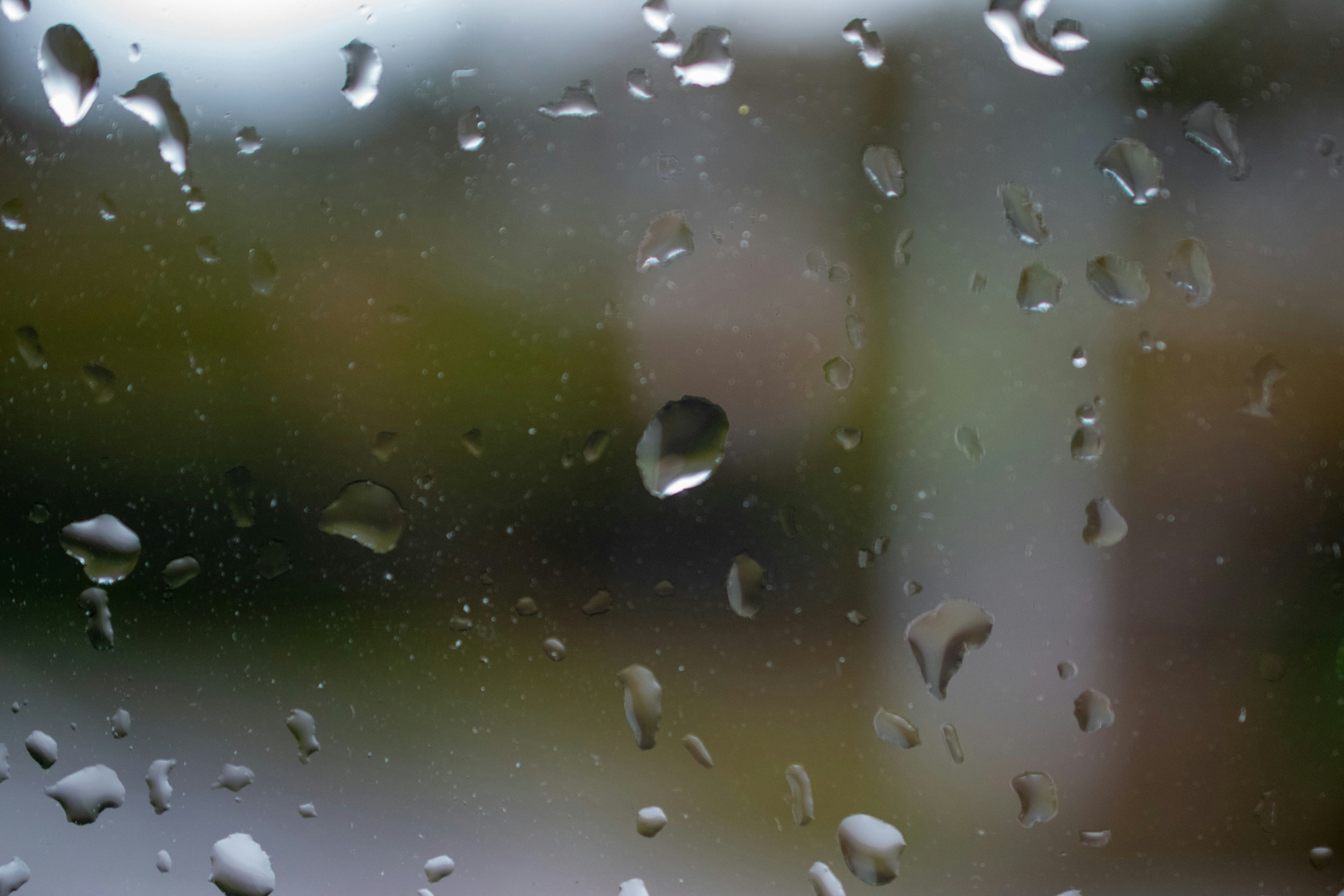 Photo by bo_schoonejans_photography