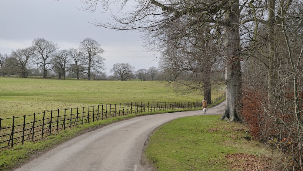 a country road in the country side