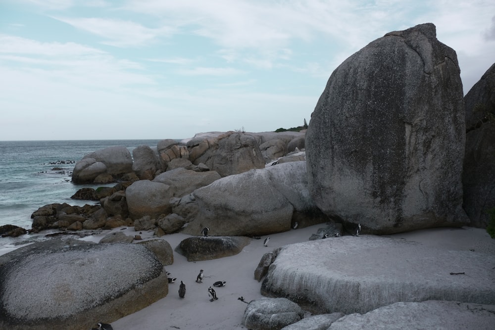 a group of penguins standing on a beach next to a large rock