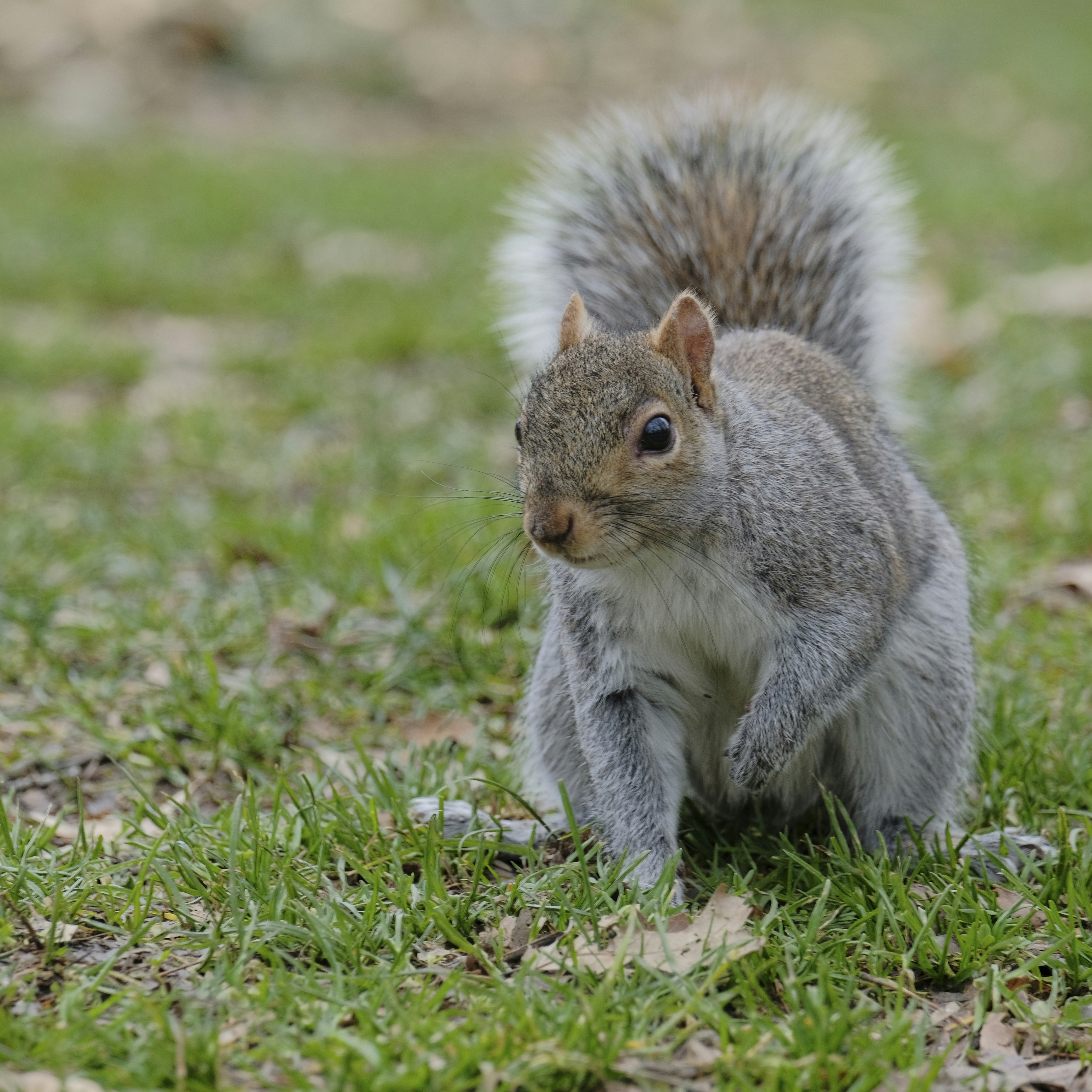 Photo by herrherrmann