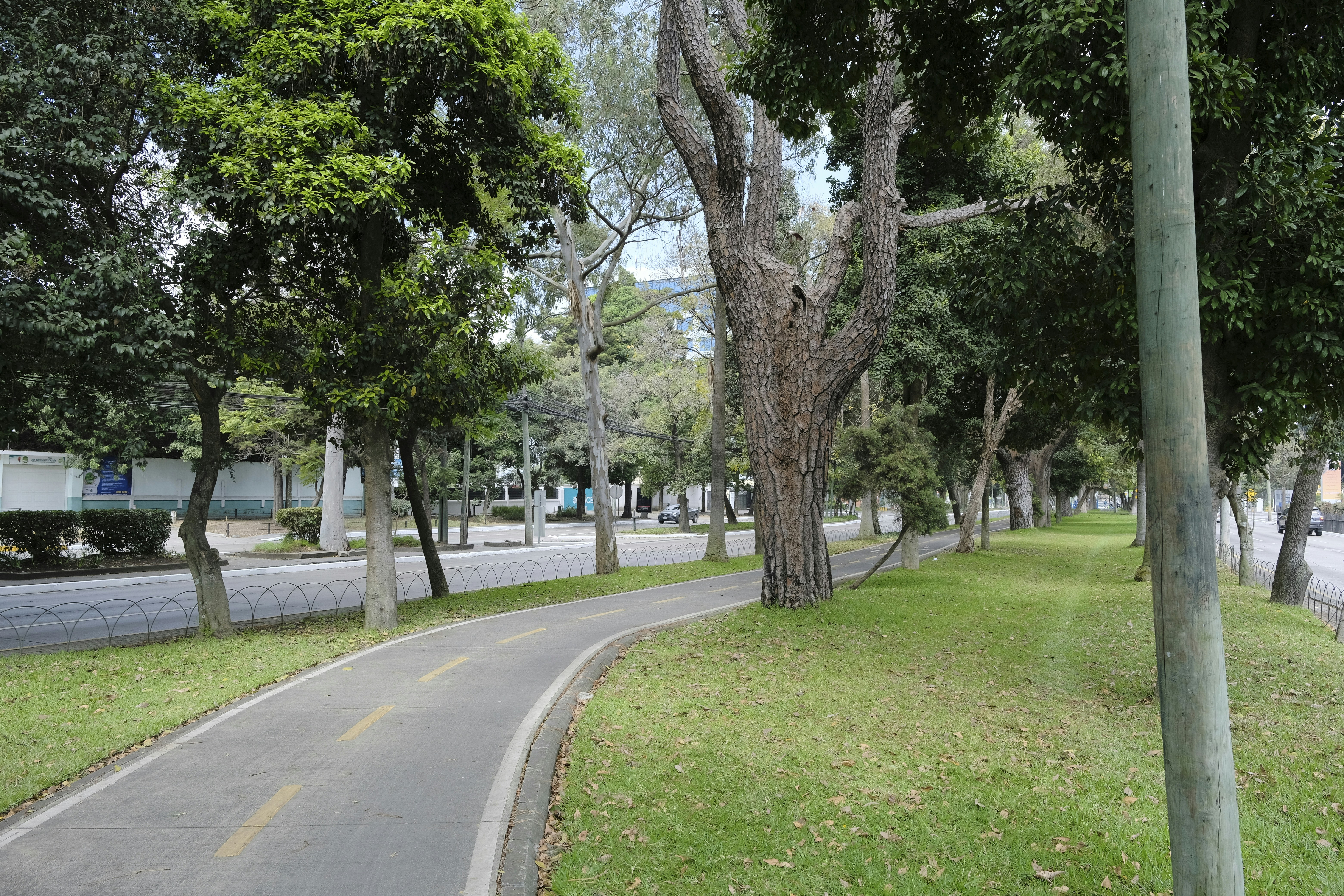 a paved road with trees on both sides of it, 