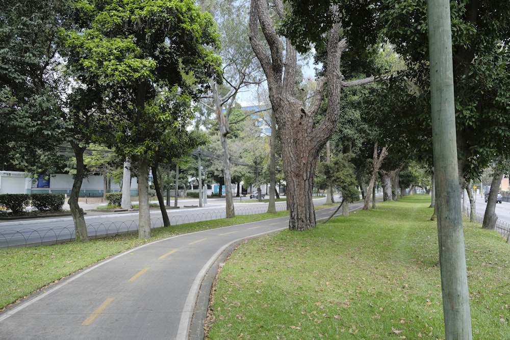 a paved road with trees on both sides of it