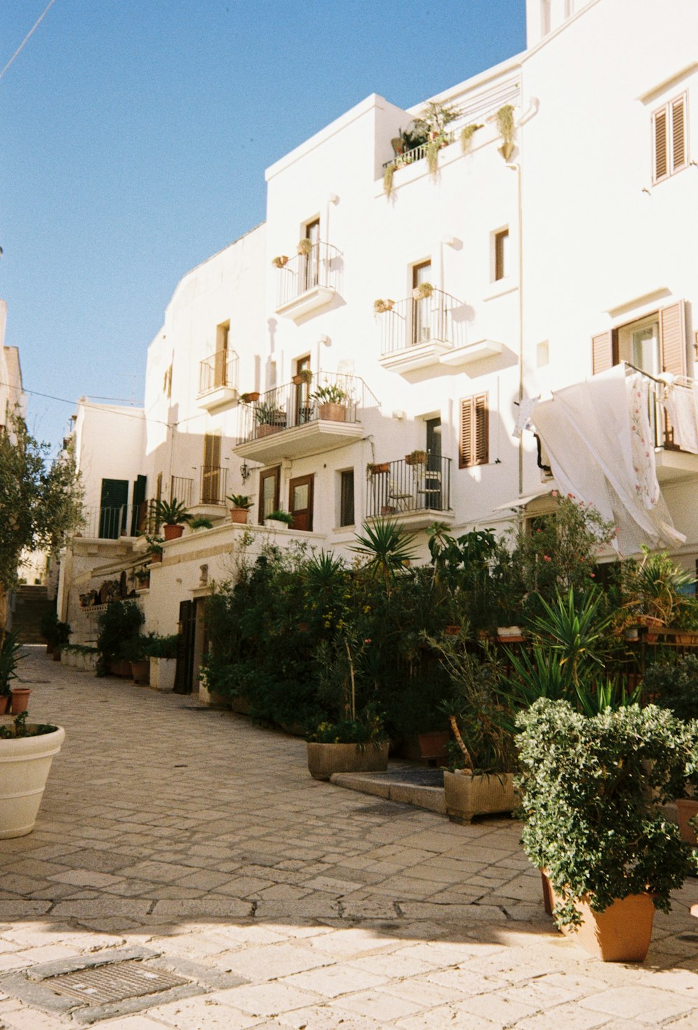 a courtyard with potted plants in front of a white building