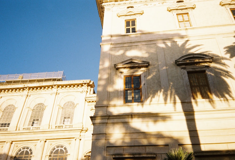 a tall white building with a palm tree in front of it