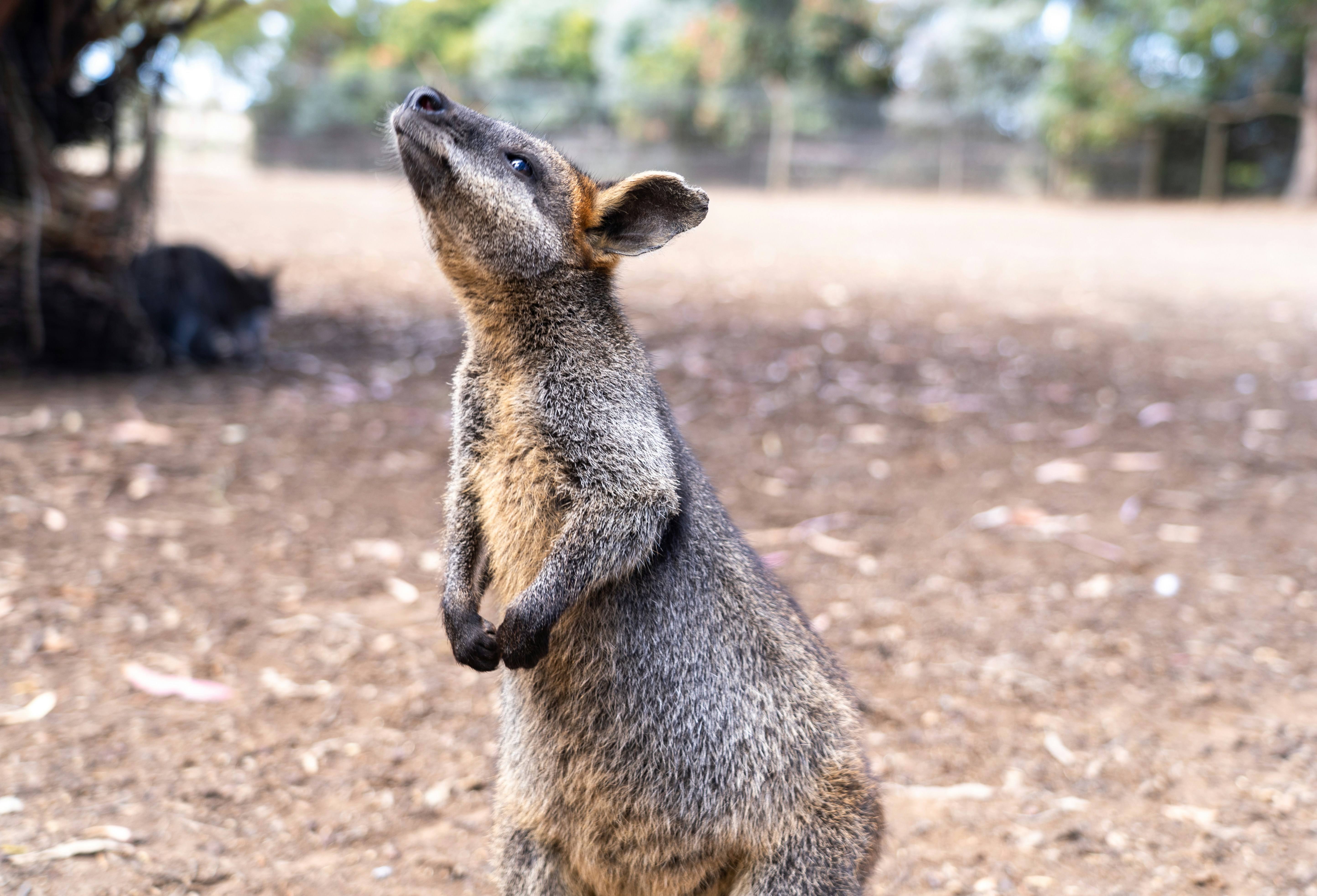 leet (@ltk2323) • Instagram photos and videos, image size:3000x2042