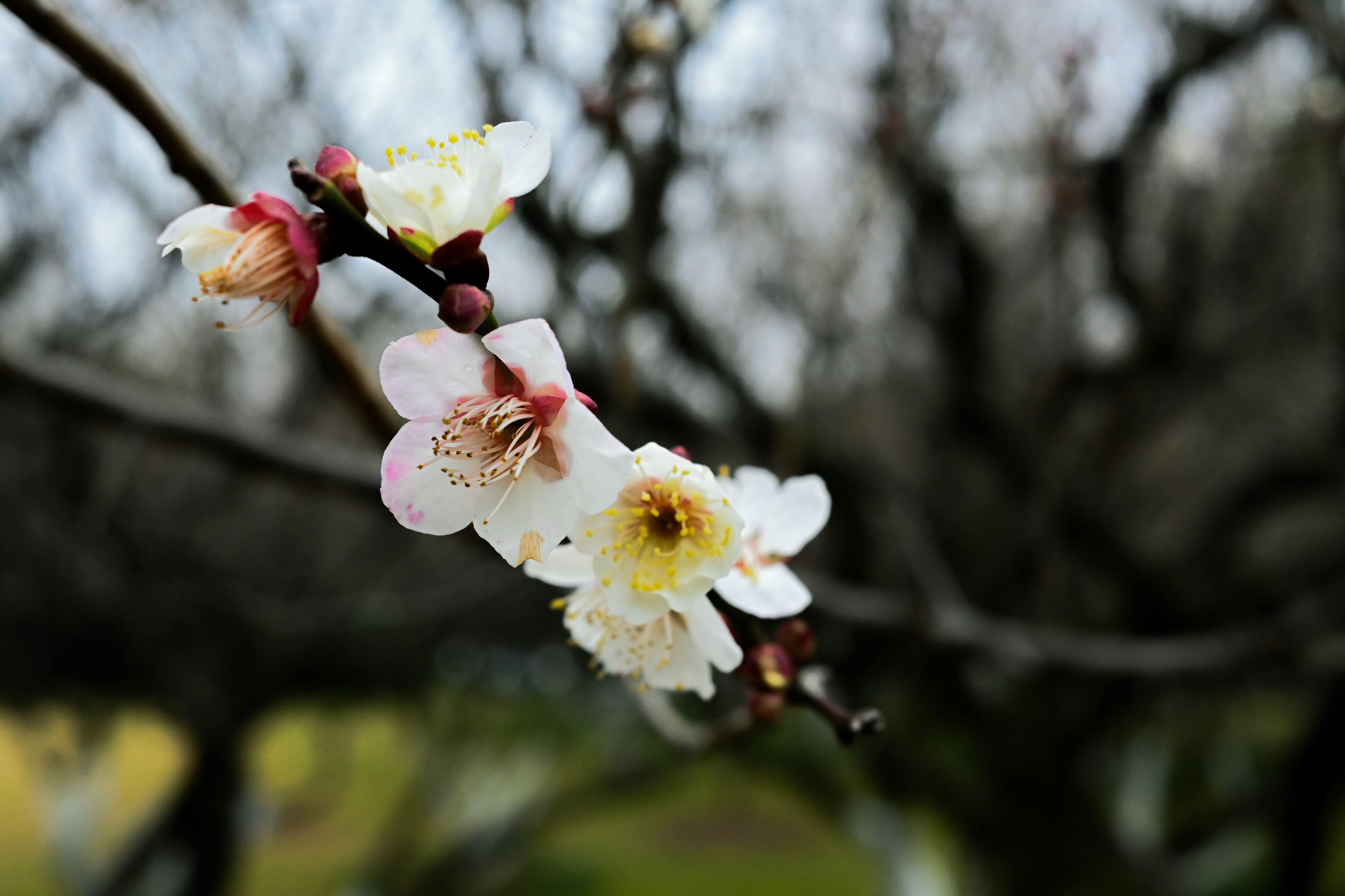 Photo by will_w