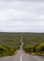 an empty road in the middle of a lush green field