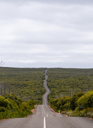 an empty road in the middle of a lush green field