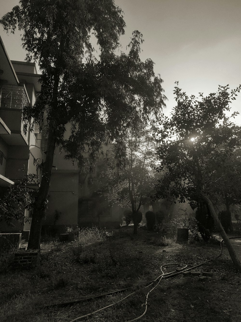 a black and white photo of a house and trees