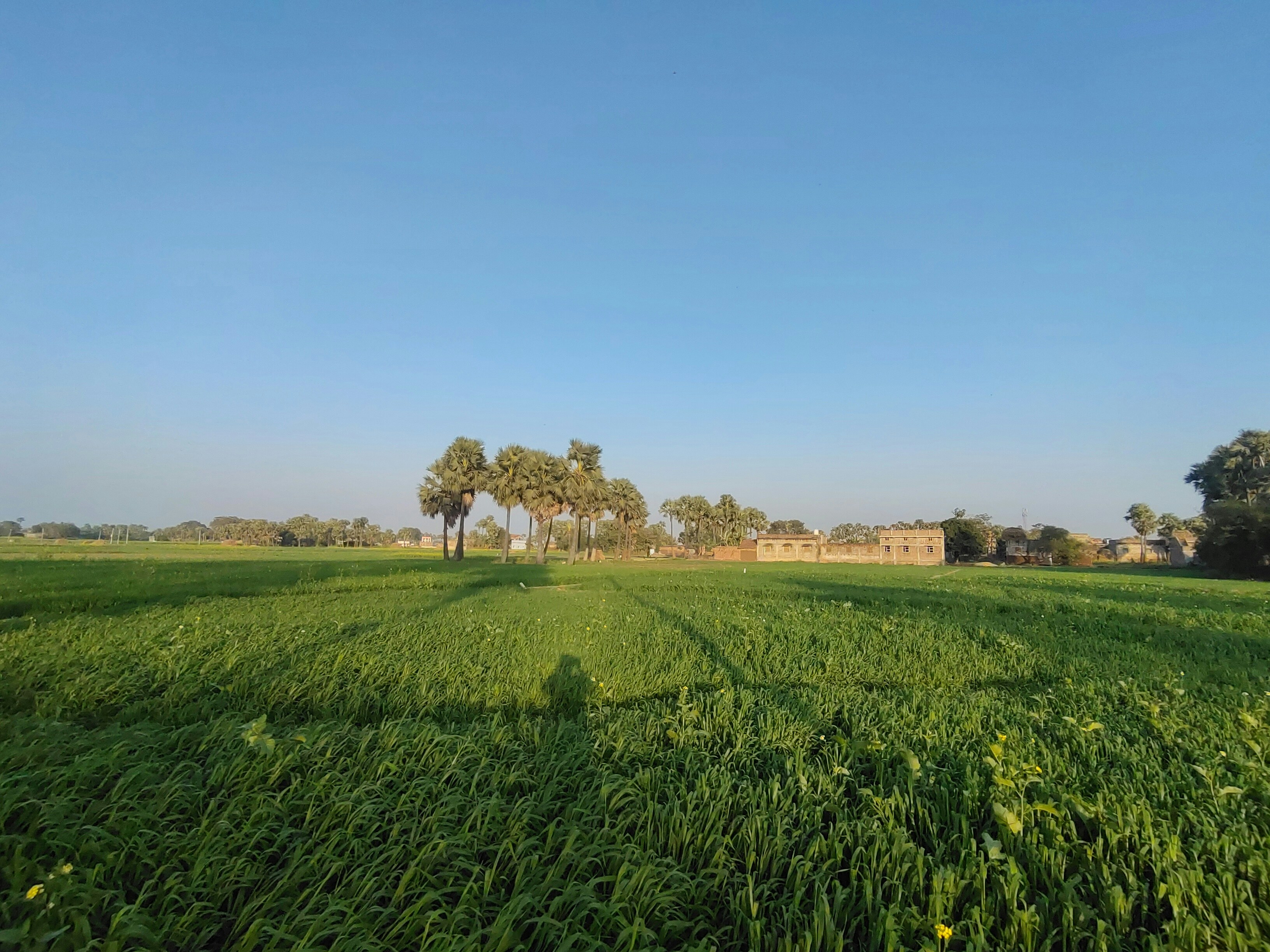 Photo by linkan_priya