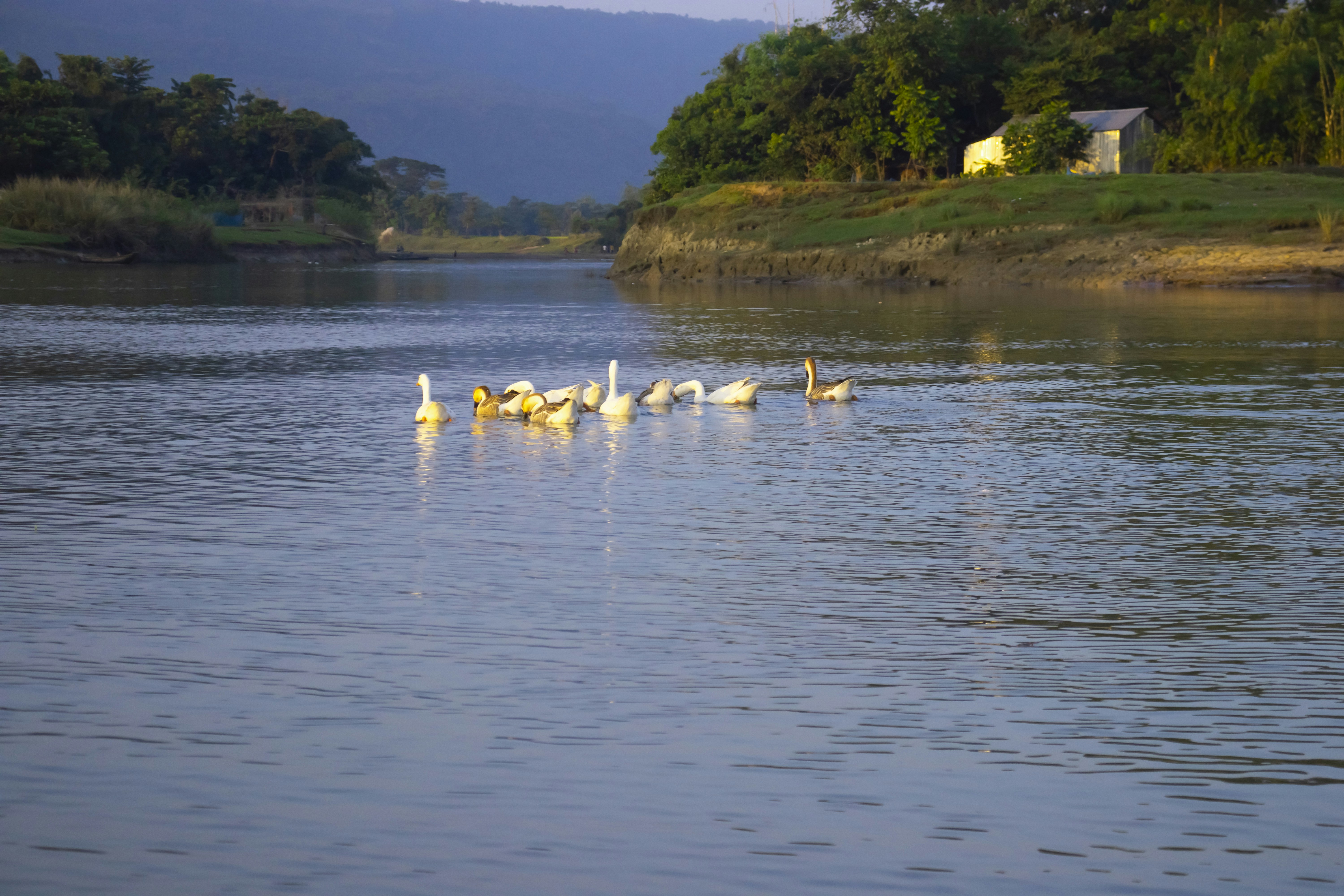 Photo by expressivecapture