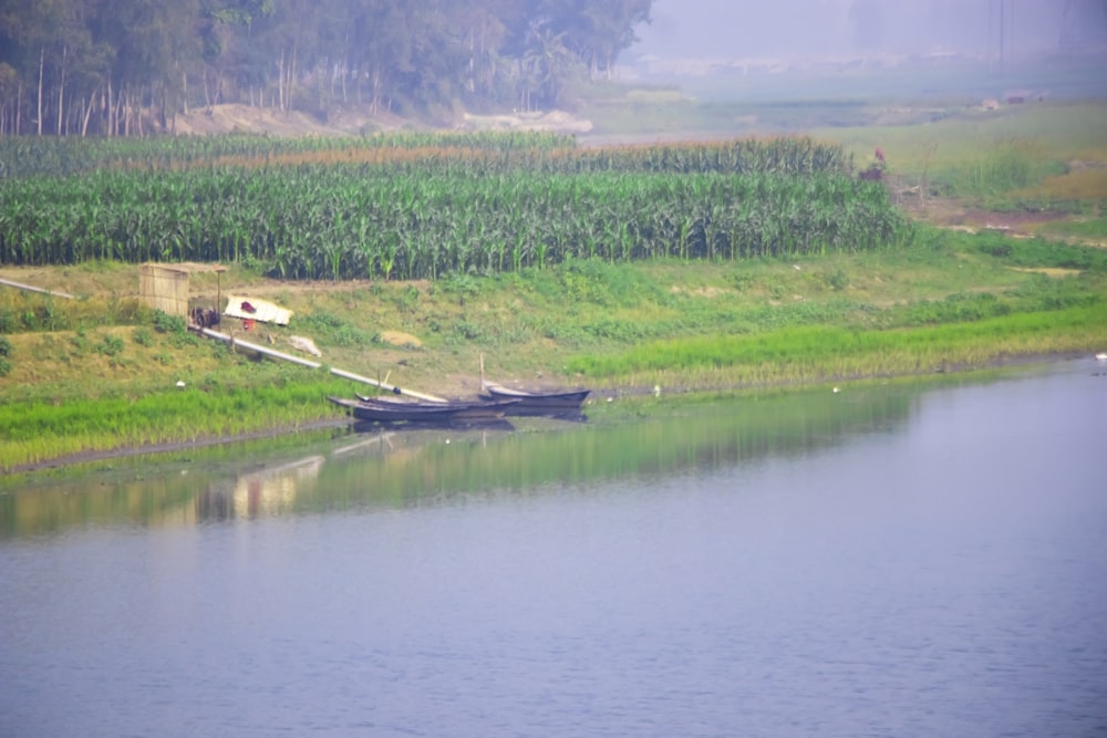 a boat sitting on top of a lake next to a lush green field
