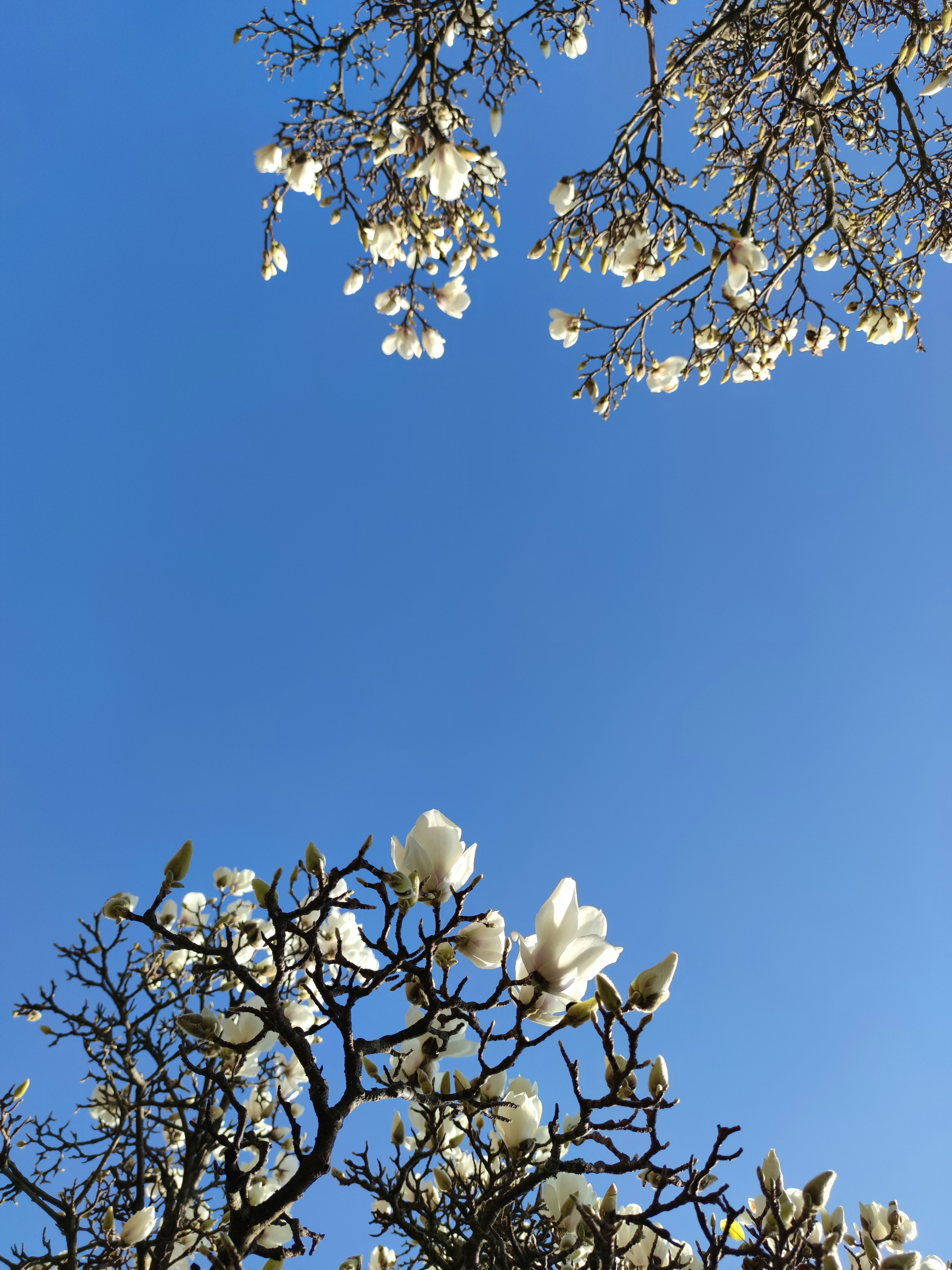 Photo by jmalonsoabalo