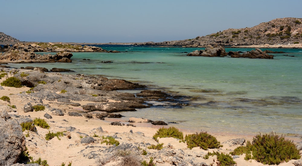 a rocky beach with clear blue water