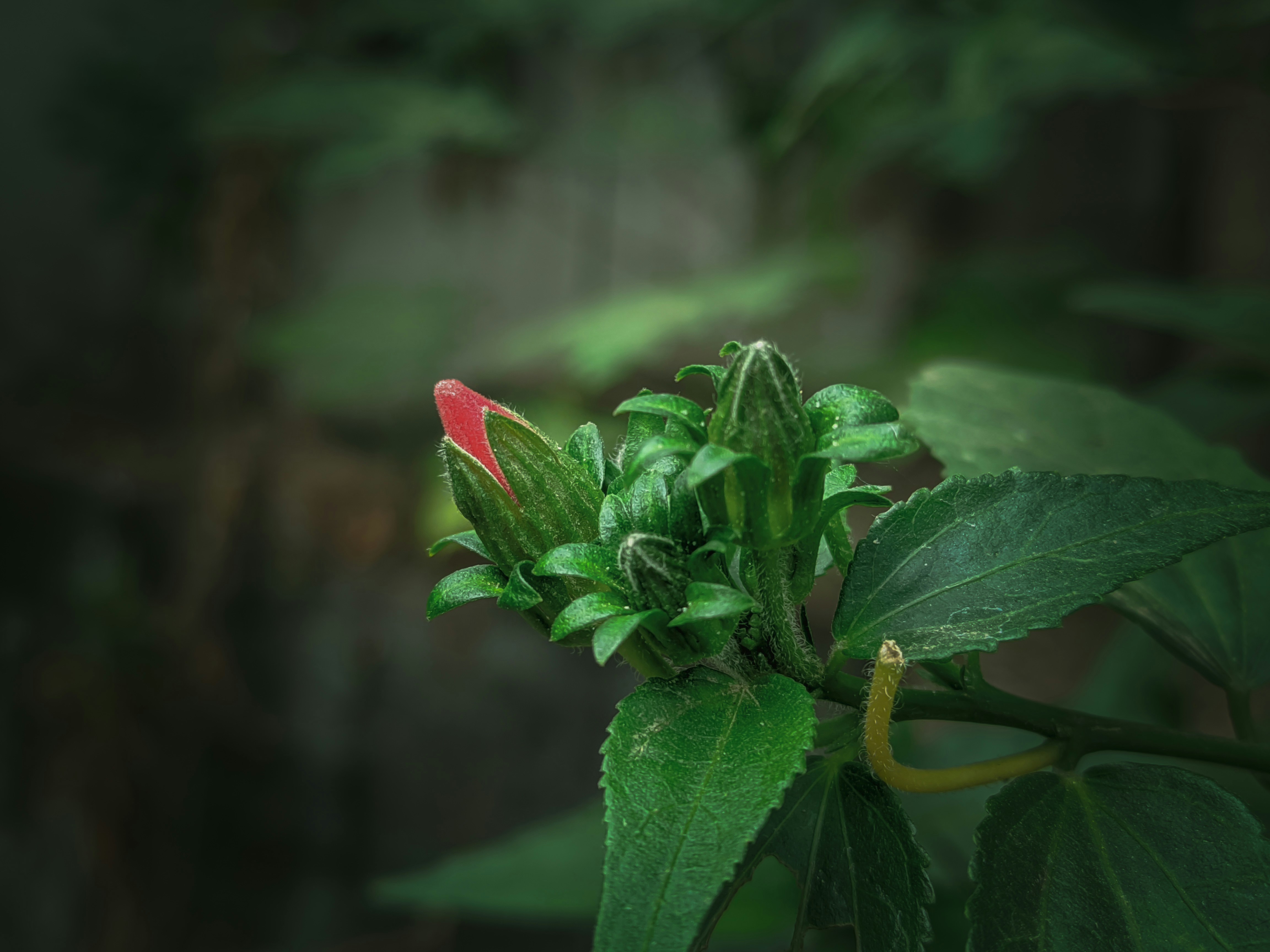 Photo by sujaypaulsp