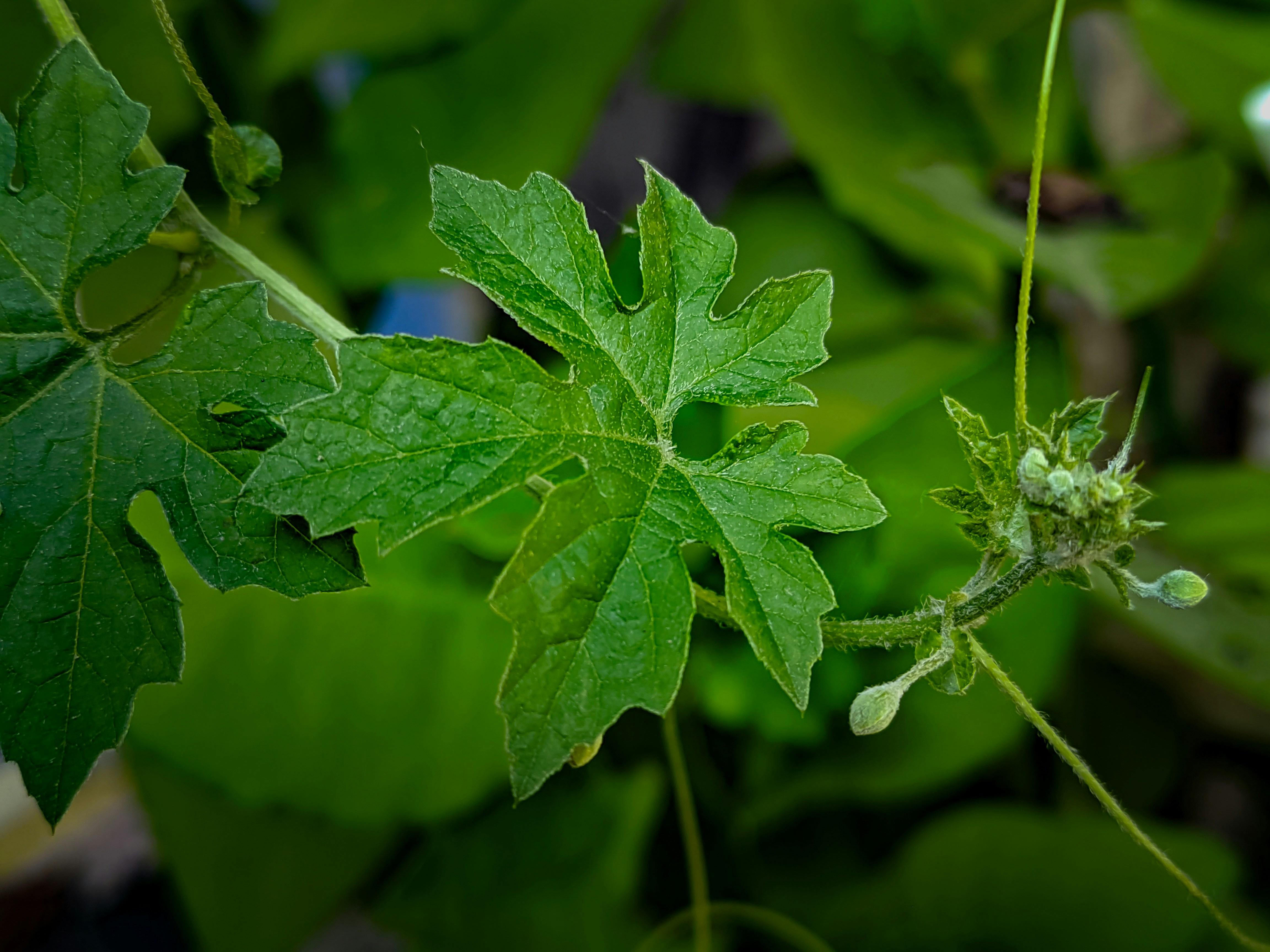 Photo by sujaypaulsp