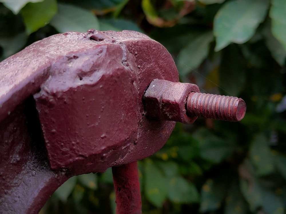 a close up of a red fire hydrant